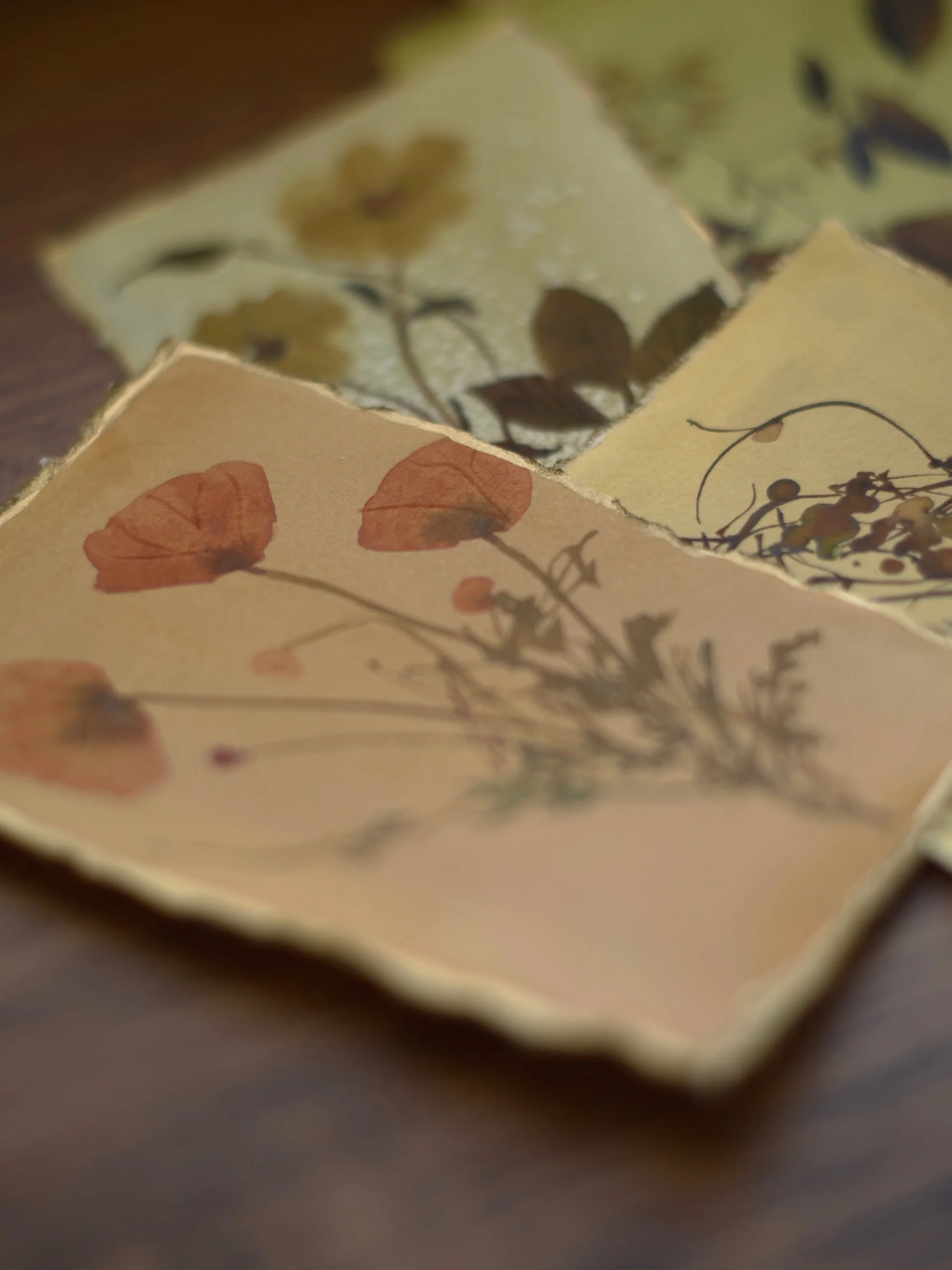 These pieces have been sitting in my archive for years.

They were painted during my watercolour years original botanical studies that I never quite wanted to part with, but also never felt completely finished with.

For this collection, I&rsquo;ve r
