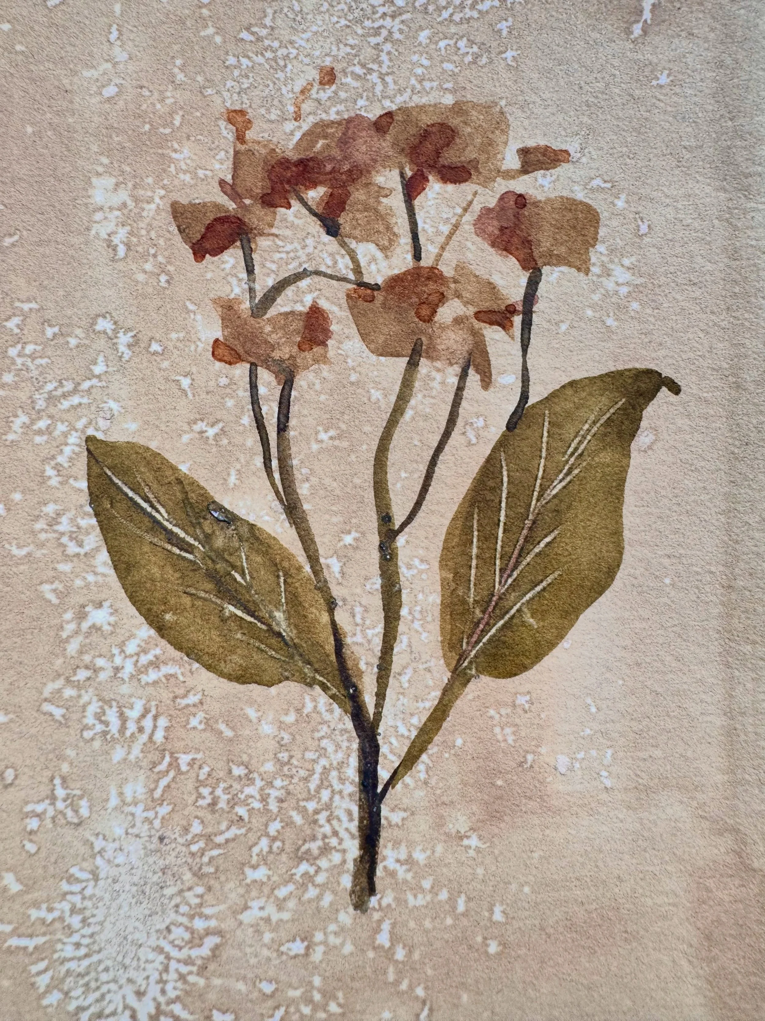 A few more pieces from The Archive.

Each one is an original botanical watercolour, with its own palette and character, brought together as part of this small one-off collection.

The pieces feel slightly different from my current work, which is exac