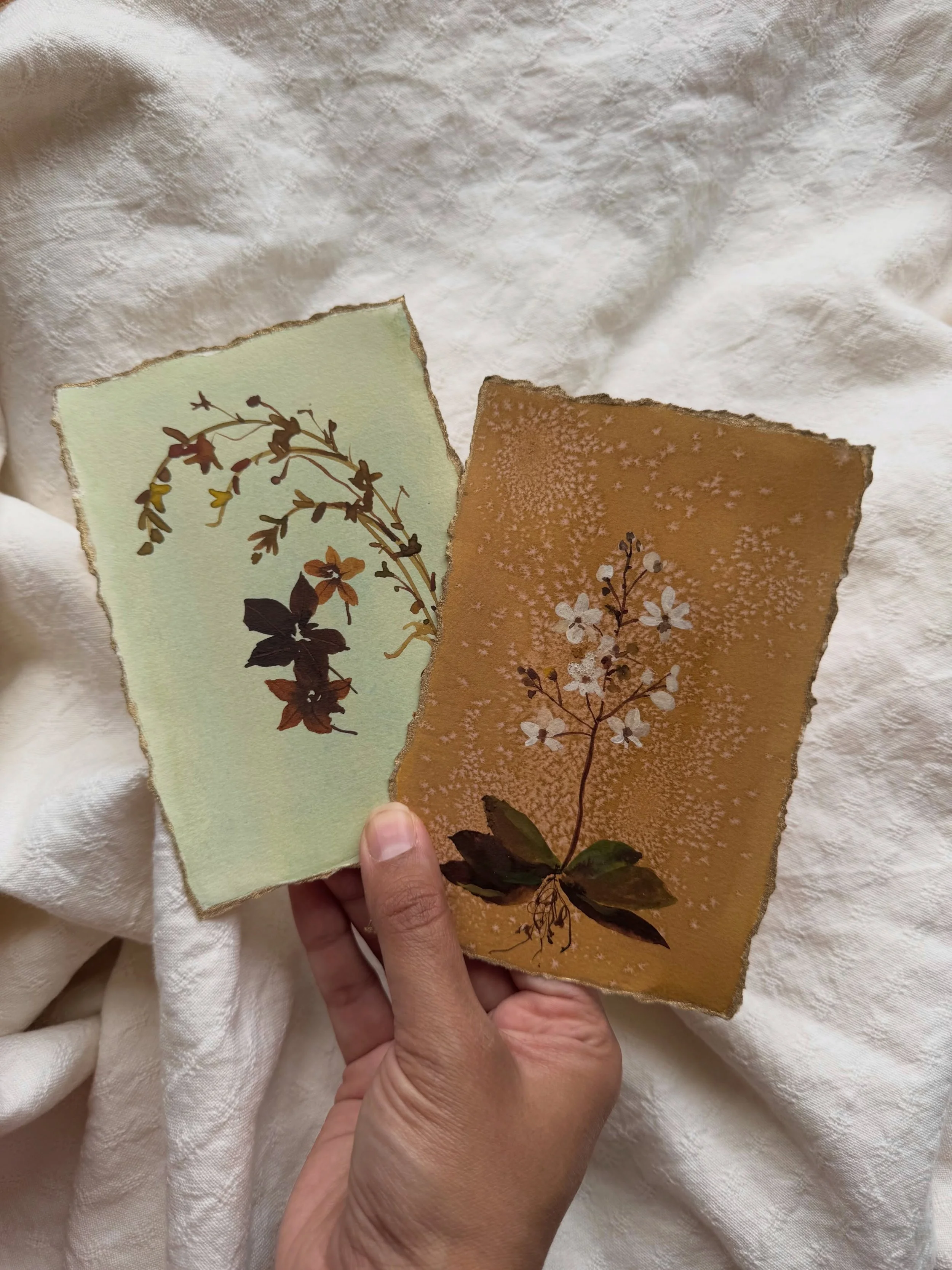 A few more from The Archive.

This collection brings together a small group of original botanical watercolours from an earlier chapter of my work, each one different, but all with the same muted, collected feel.

They&rsquo;re small works, but I want