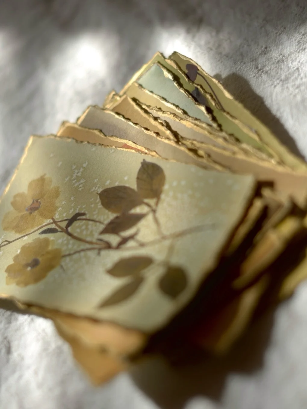 A fuller look at The Archive.

A small collection of original botanical watercolours, each with its own palette, texture and character.

These pieces sit apart from my current work, which is part of what makes this release feel so special, a one off 
