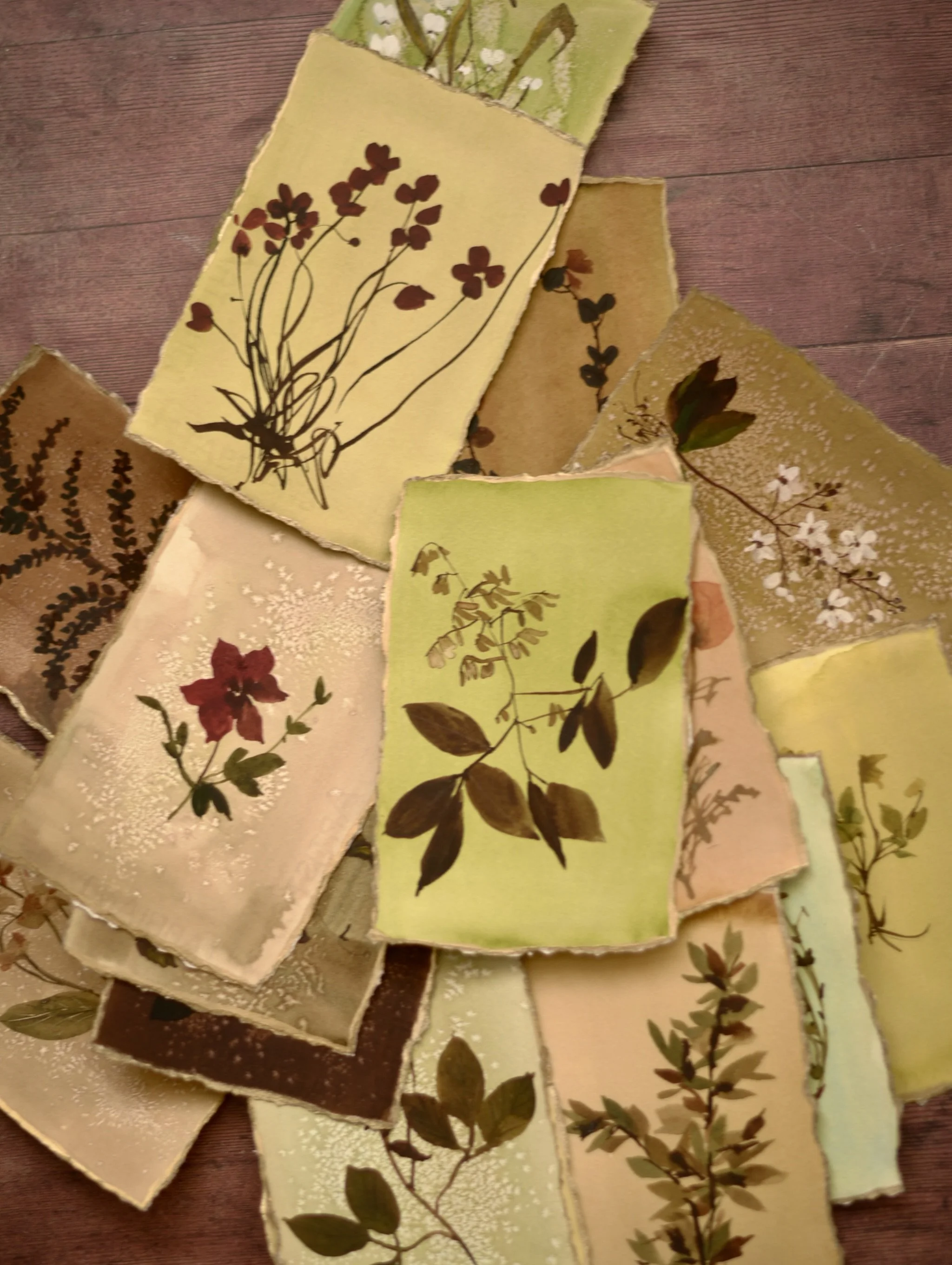 A fuller look at The Archive.

This is a rare, one-off collection of original botanical watercolours from an earlier chapter of my work. Something collected and beautiful as a layered piece. 

If you&rsquo;d like to see the full collection before it 