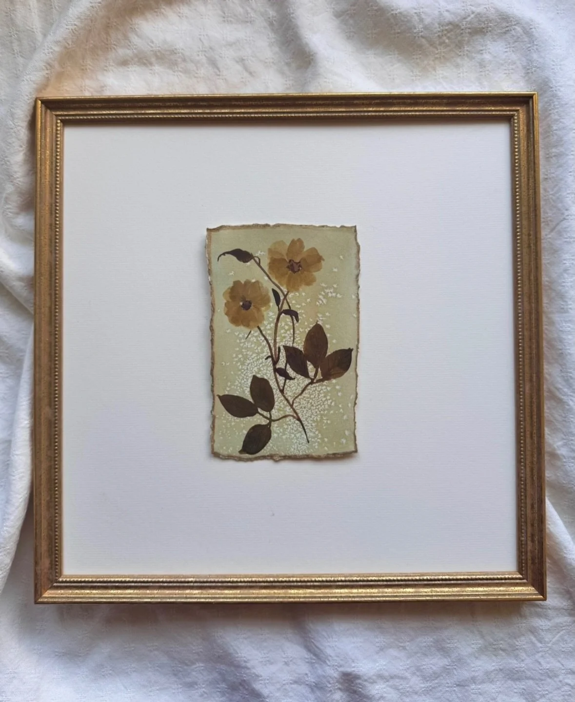 A closer look at how The Archive sits once framed.

These are small original botanical watercolours, but the generous mount and antique style frame give them a much stronger presence on the wall.

This is a rare, one-off collection and the preview wi