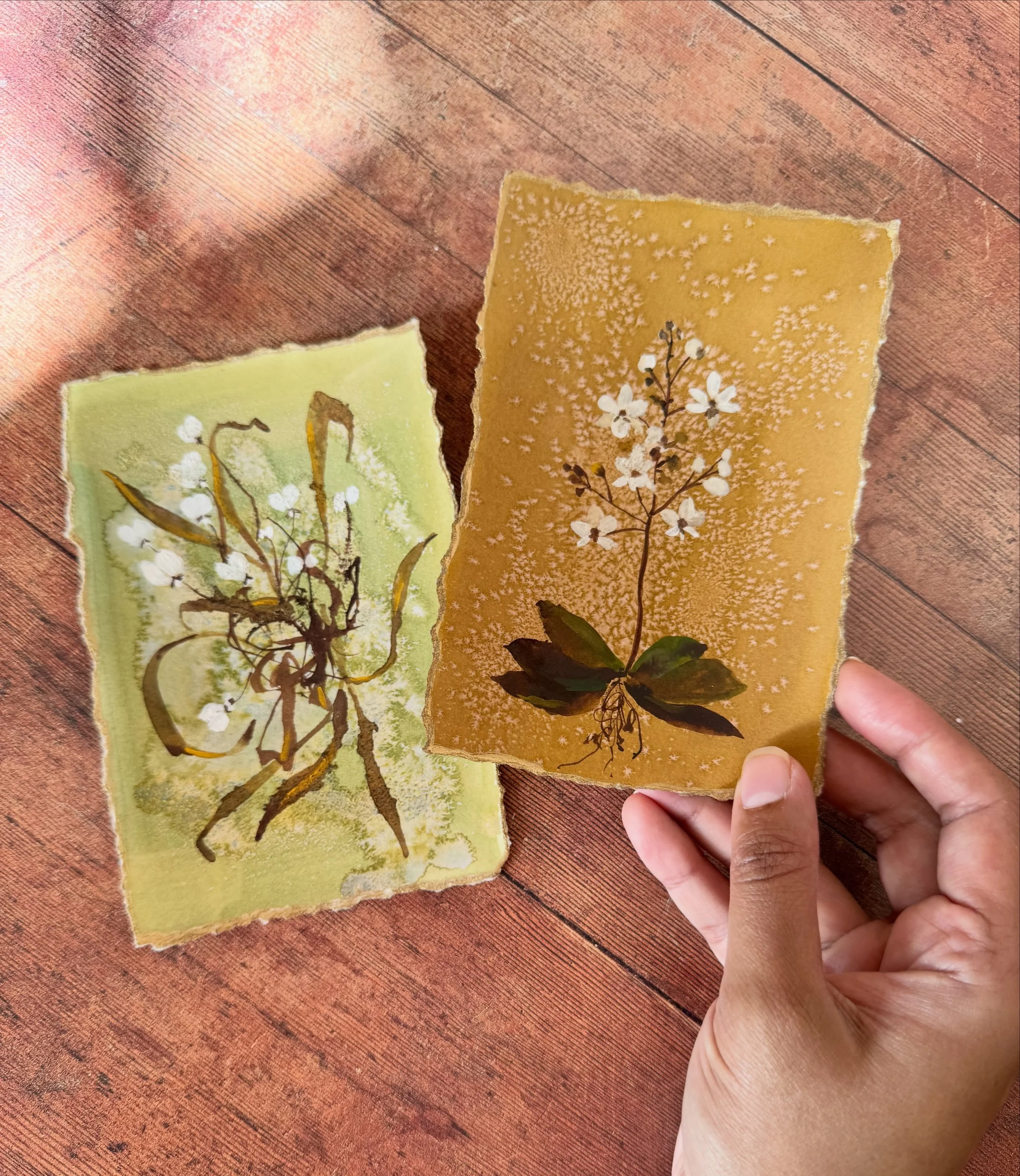 Each piece in this collection is completely original, with its own botanical study, colour palette and character.

These are small works designed to feel collected. They feel like pieces that can sit quietly on their own or become part of a layered w
