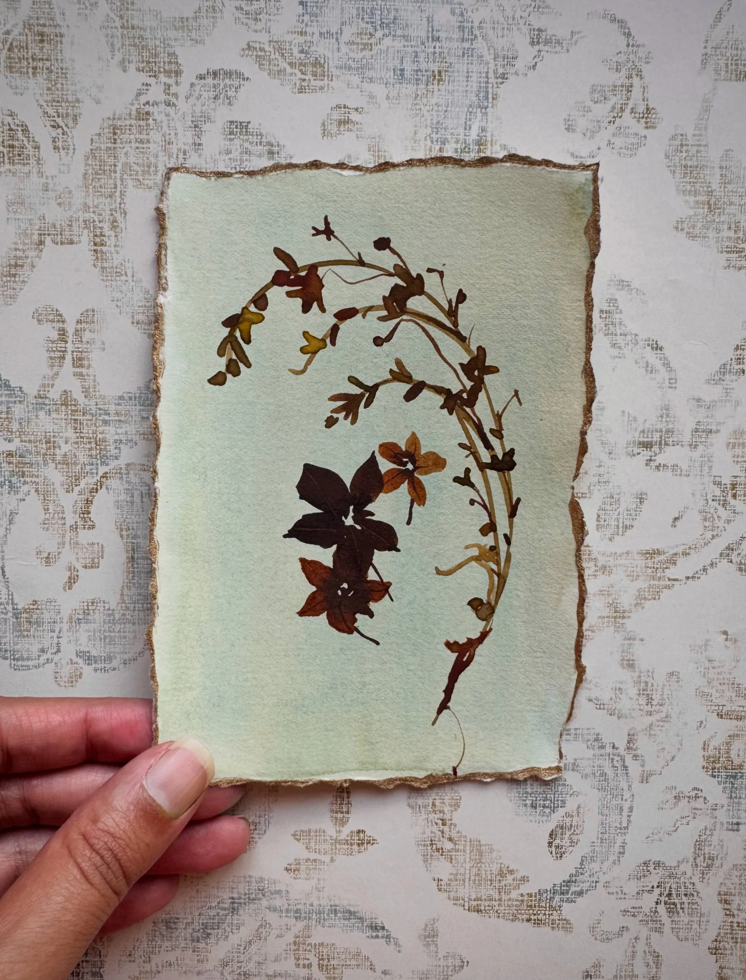 A final look at The Archive before it opens tomorrow.

This one-off collection of original botanical watercolours will be released tomorrow, with early access going to my collectors list first.

If you&rsquo;d like to see the full collection before i