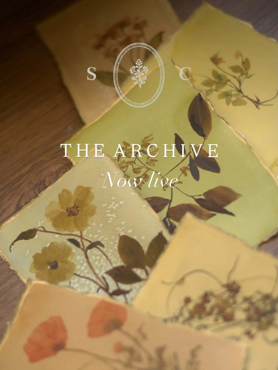 The Archive is now live.

A small collection of original botanical watercolours from an earlier chapter of my work, released together for the first time.

15 original works, each one distinct in color, form and character. Click on through to view the