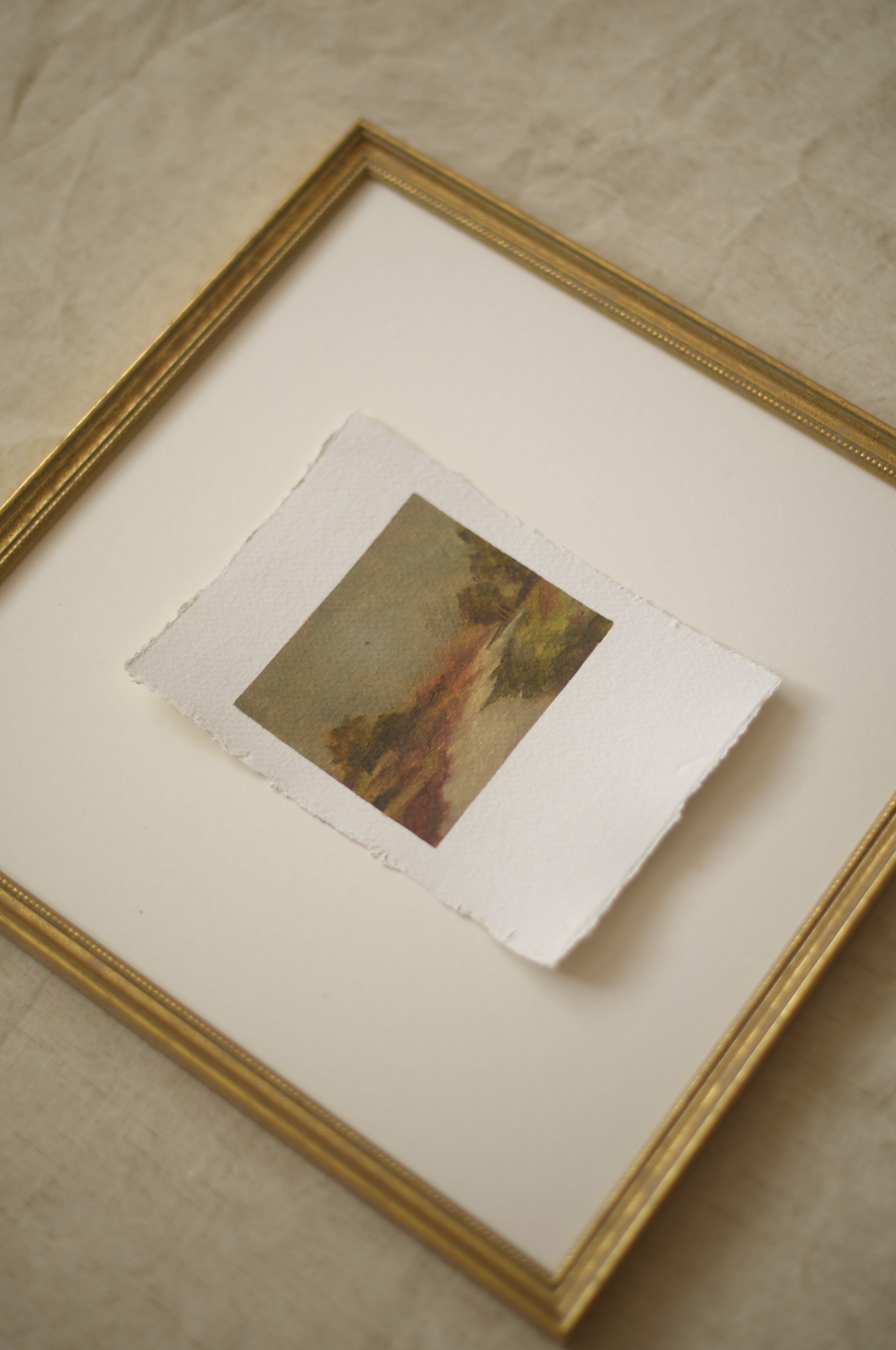_DSC4777.jpeg