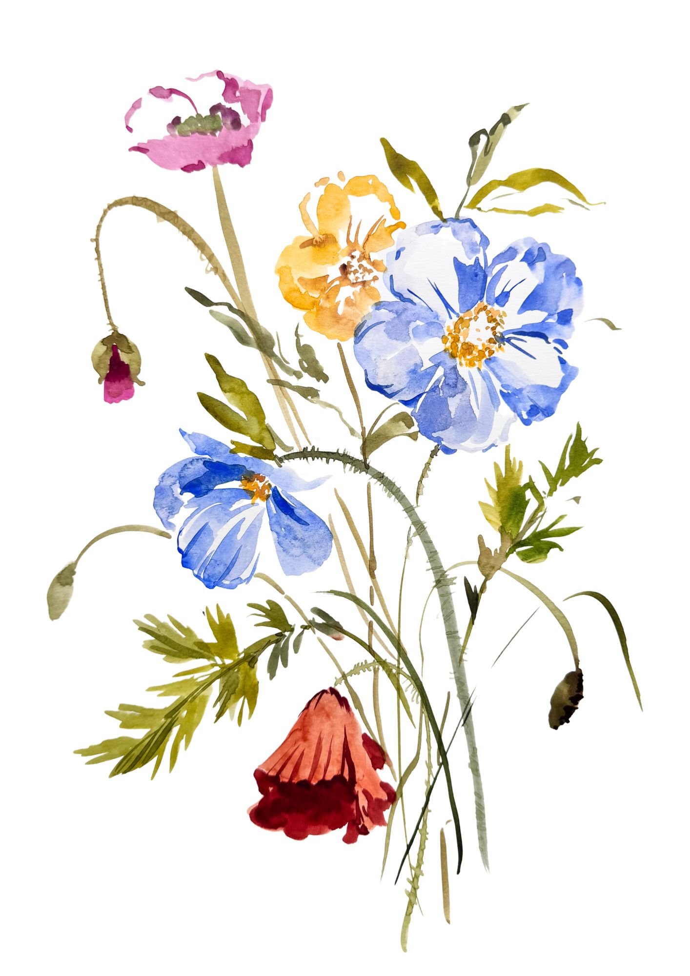 Poppies