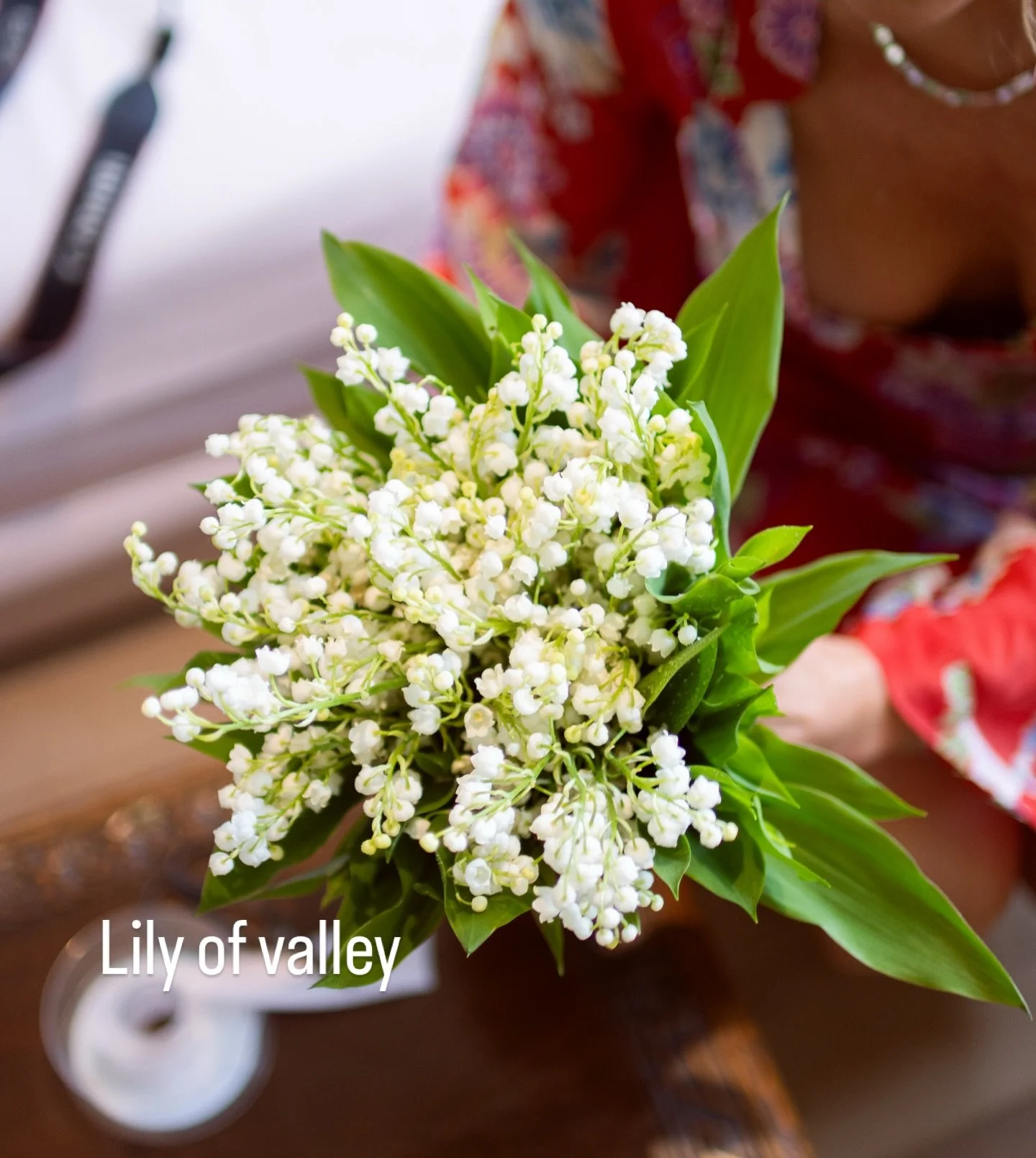 White. 
The Pantone for this year is white - cloud dancer. 

There are actually less species of wild white flowers compared to the coloured. 
Coloured flowers attract the pollinators but white flowers are common in night bloomers. Jasmine for example