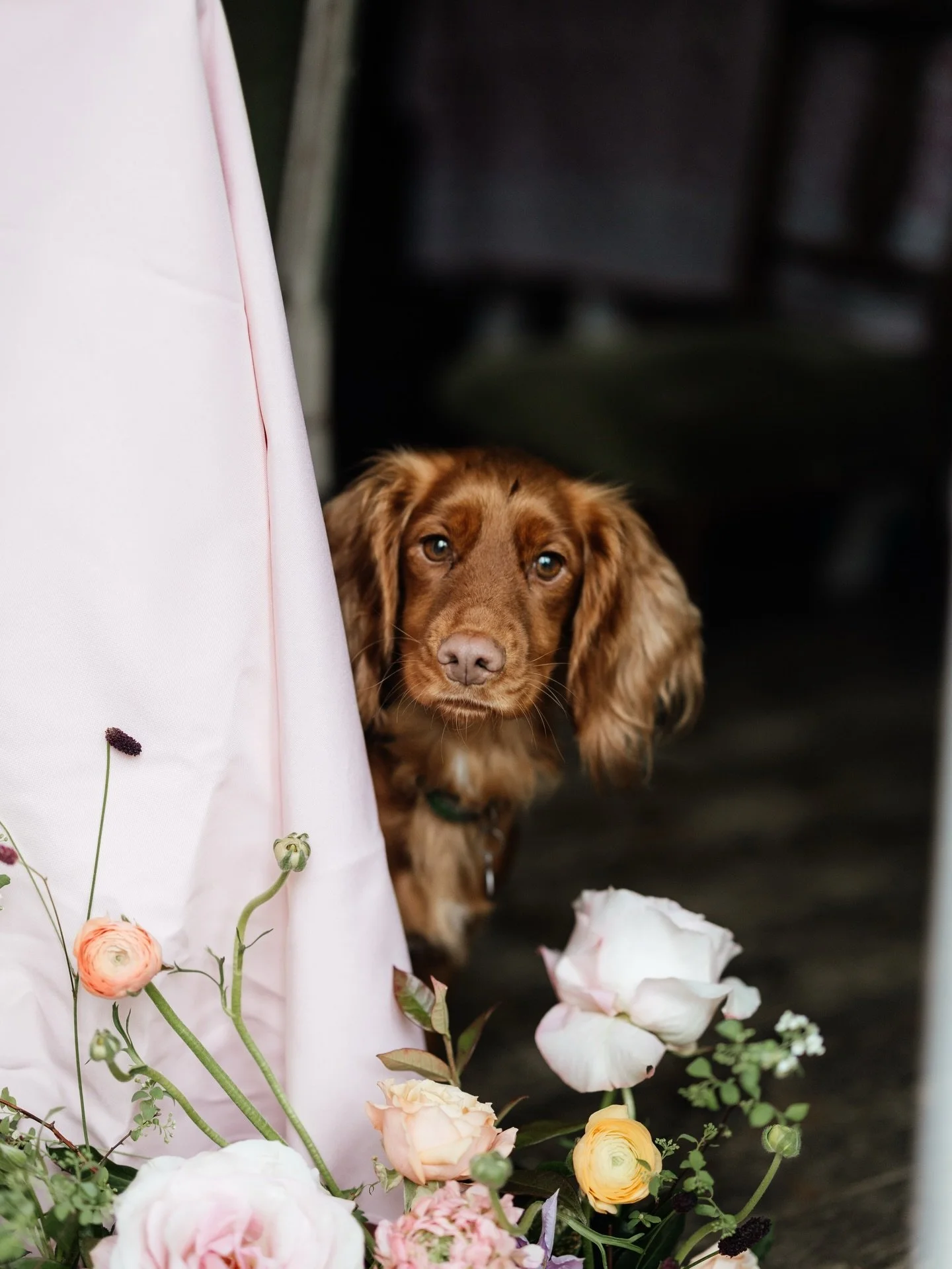 Happy Valentines Love bugs. 

A day to connect with, appreciate and love those around you whether they&rsquo;re dates, mates, lovers or soulmates.

Thankyou to everyone who chose Wilde Thyme to flower for them. It&rsquo;s always a privilege to be a c