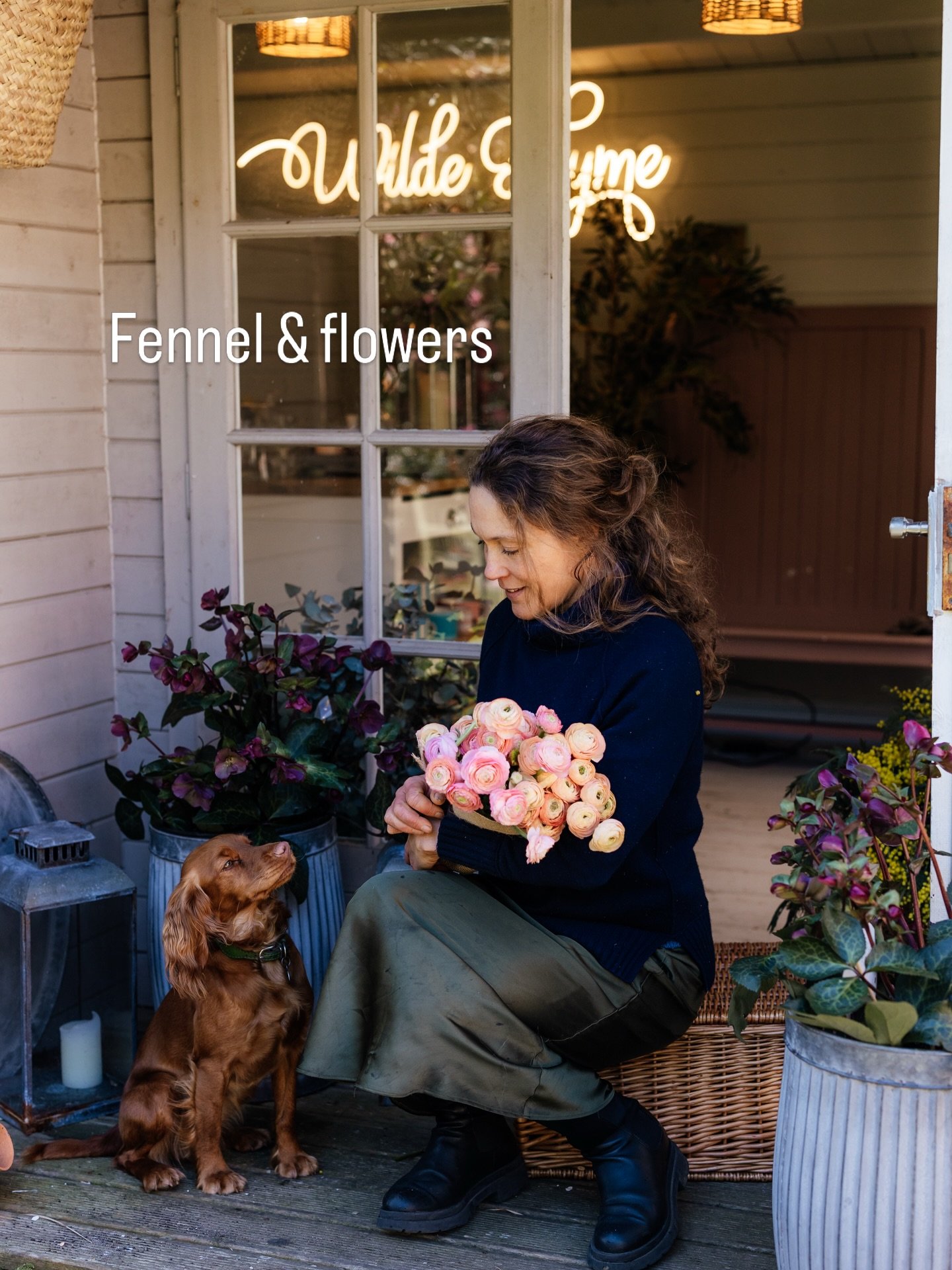 Fennel and flowers, how my life is enriched. 
It&rsquo;s National Pet Day and Fennel is my little joy. With me by my side all the time, even when I&rsquo;m at my desk writing proposals or doing orders she sits snuggled behind me on the same chair. 

