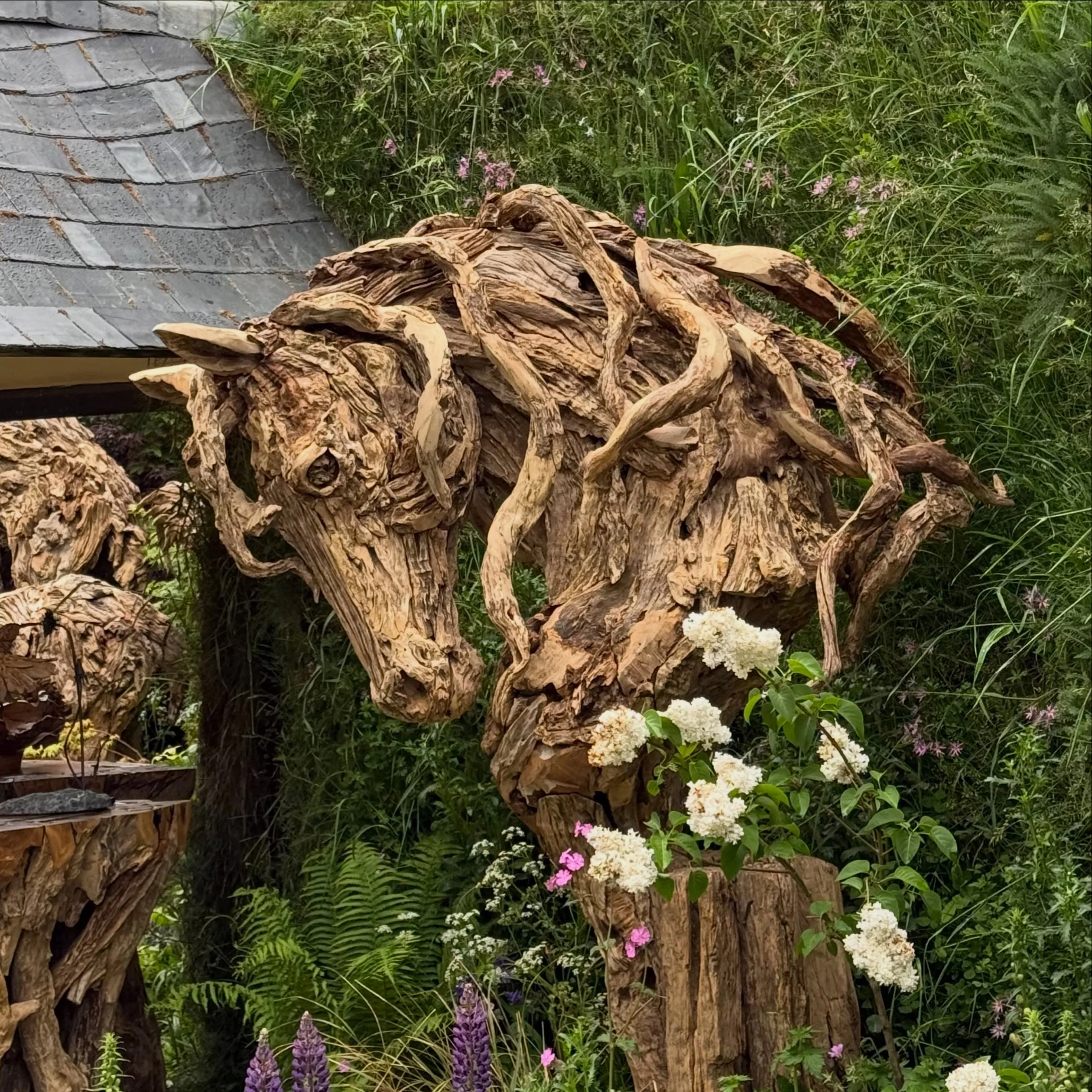 Chelsea Flower Show - hours of wondering joy, discovering new varieties I&rsquo;m going to research more, colour palette inspiration, frothy abundant garden layouts, design genius to marvel at, thoughtful intentional details and service to others. 
J