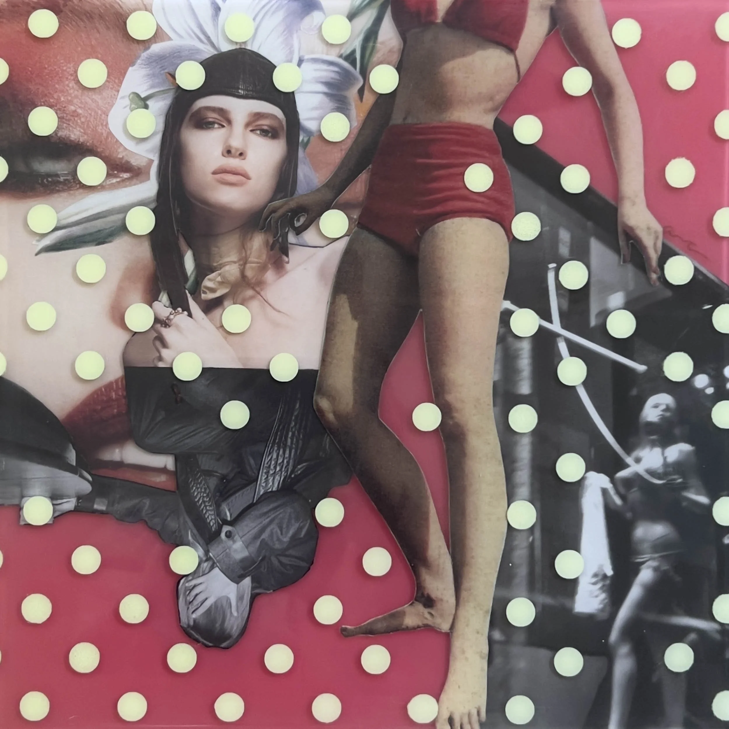alissa-van-atta-show-pony-mixed-media-resin-collage.jpg