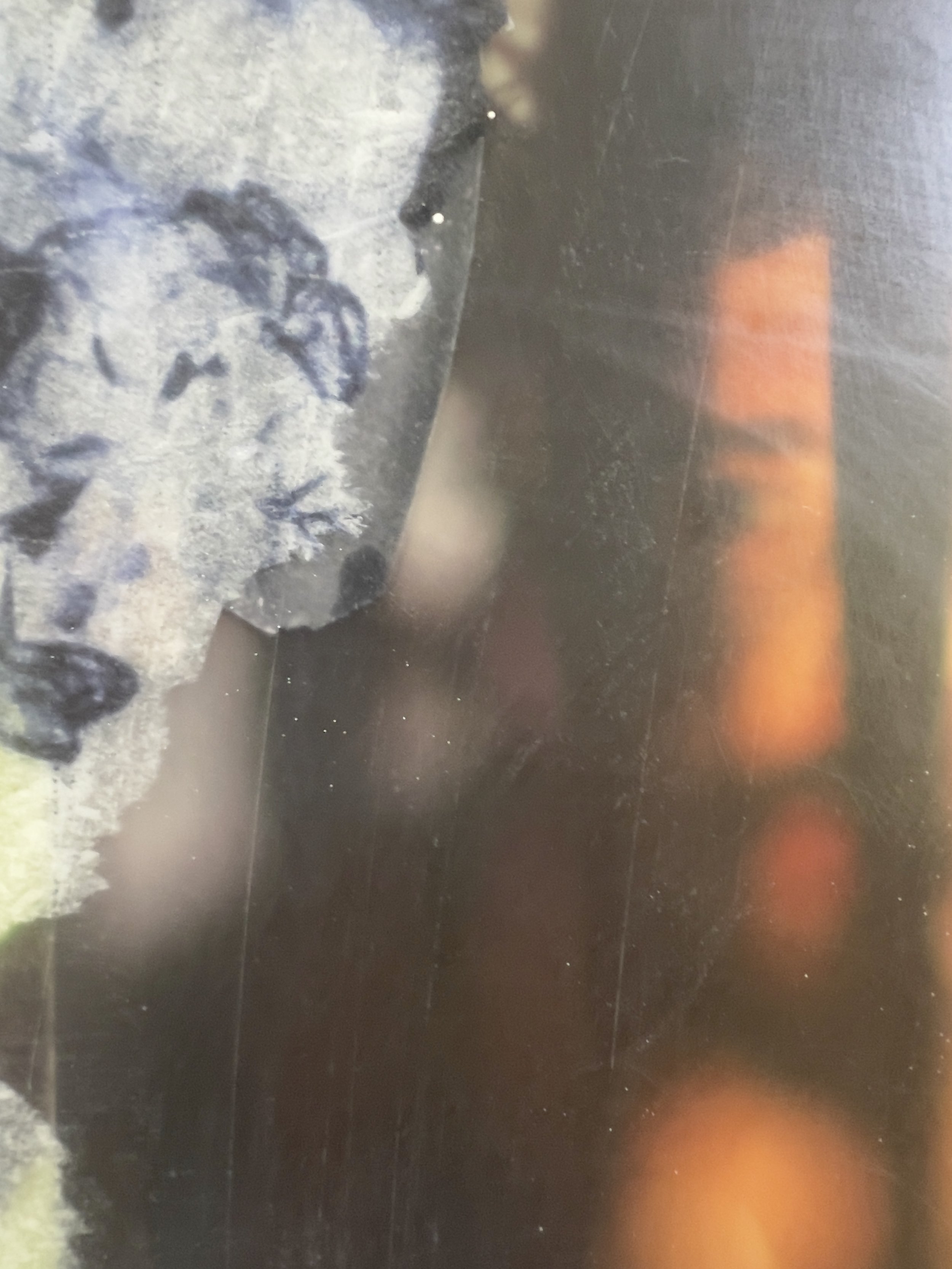 Butterfly and female portrait detail in What Remained Between Breaths by Alissa Van Atta.