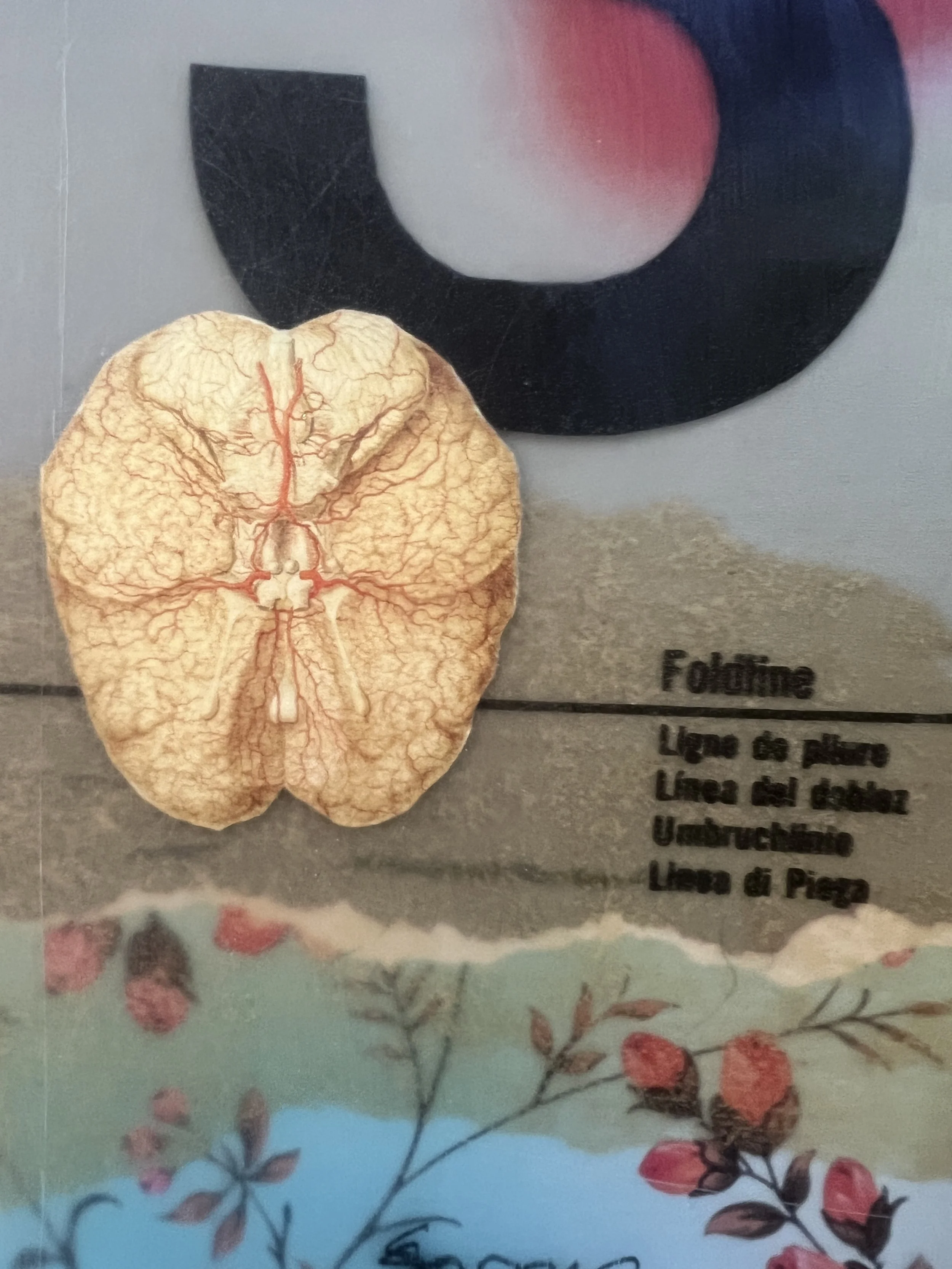 id-say-i-lost-my-heart-to-you-but-in-reality-it-was-my-mind-placenta-detail.jpeg