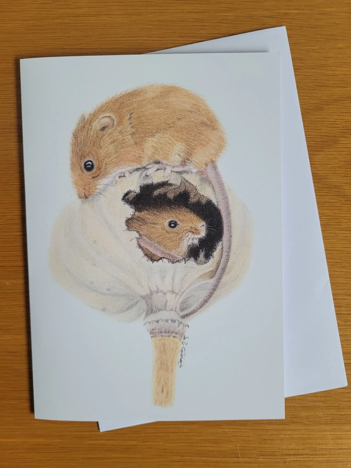 Harvest mice in a seedhead card.
