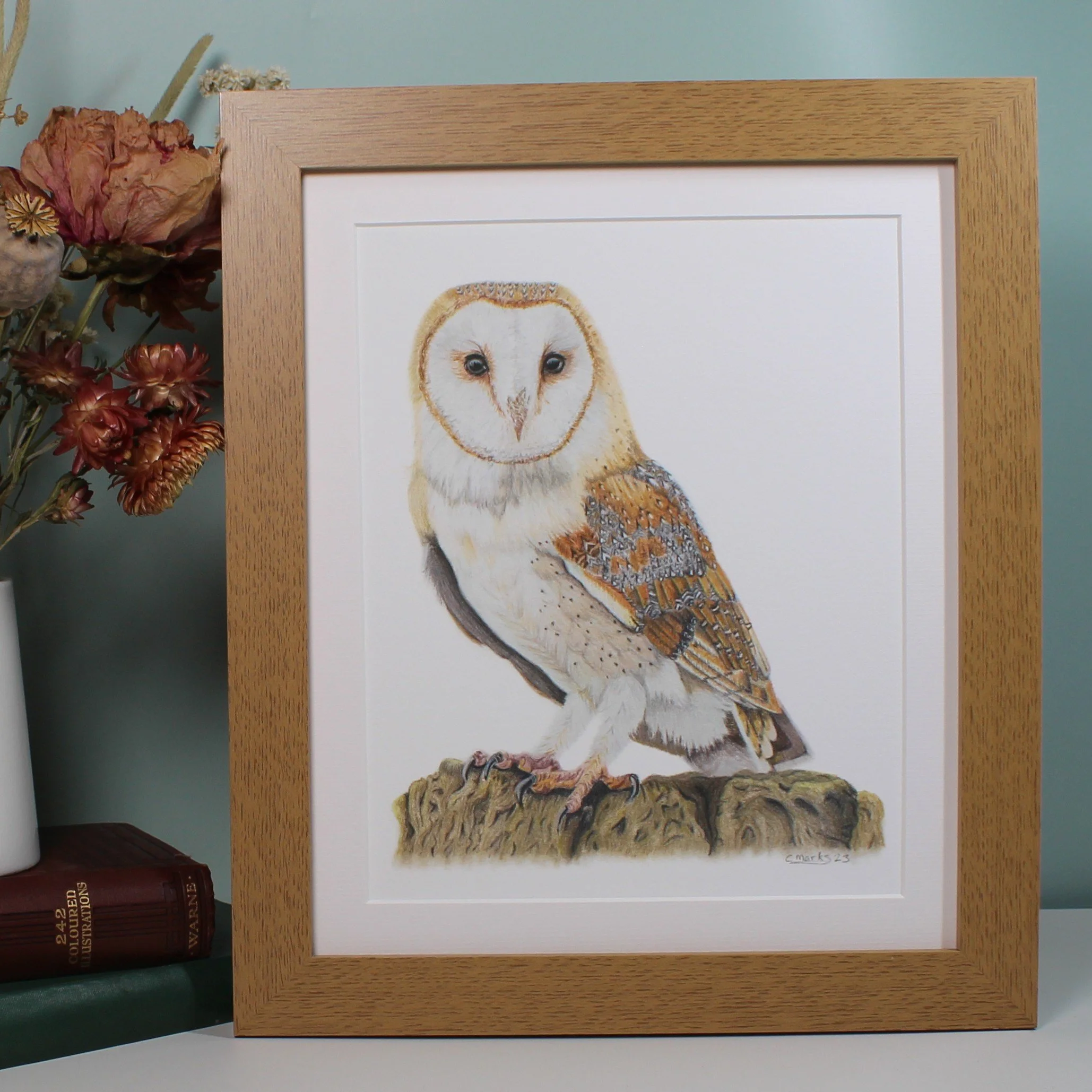 Barn owl large frame fine art print.