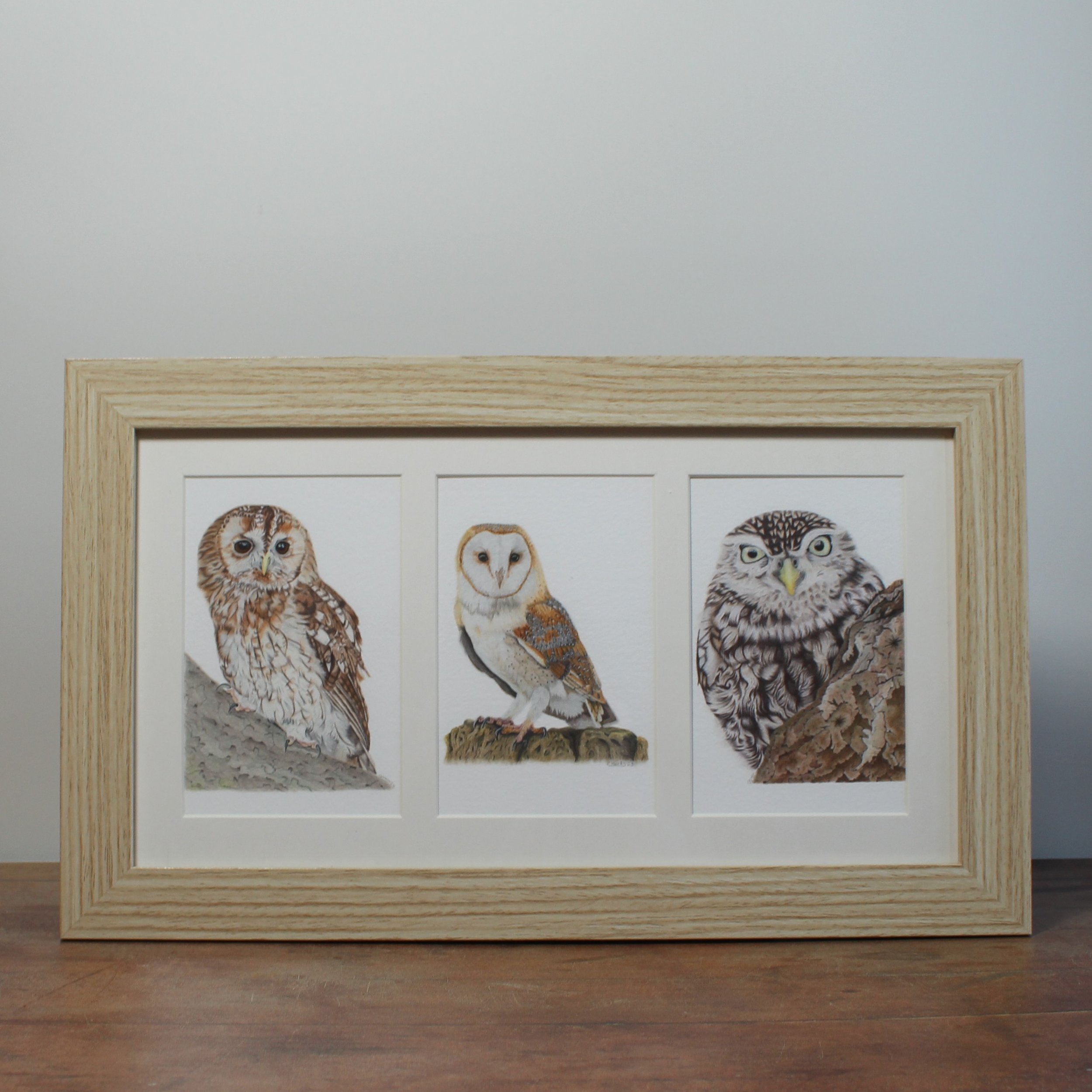 Framed fine art print of three British owls (tawny owl, barn owl, little owl)