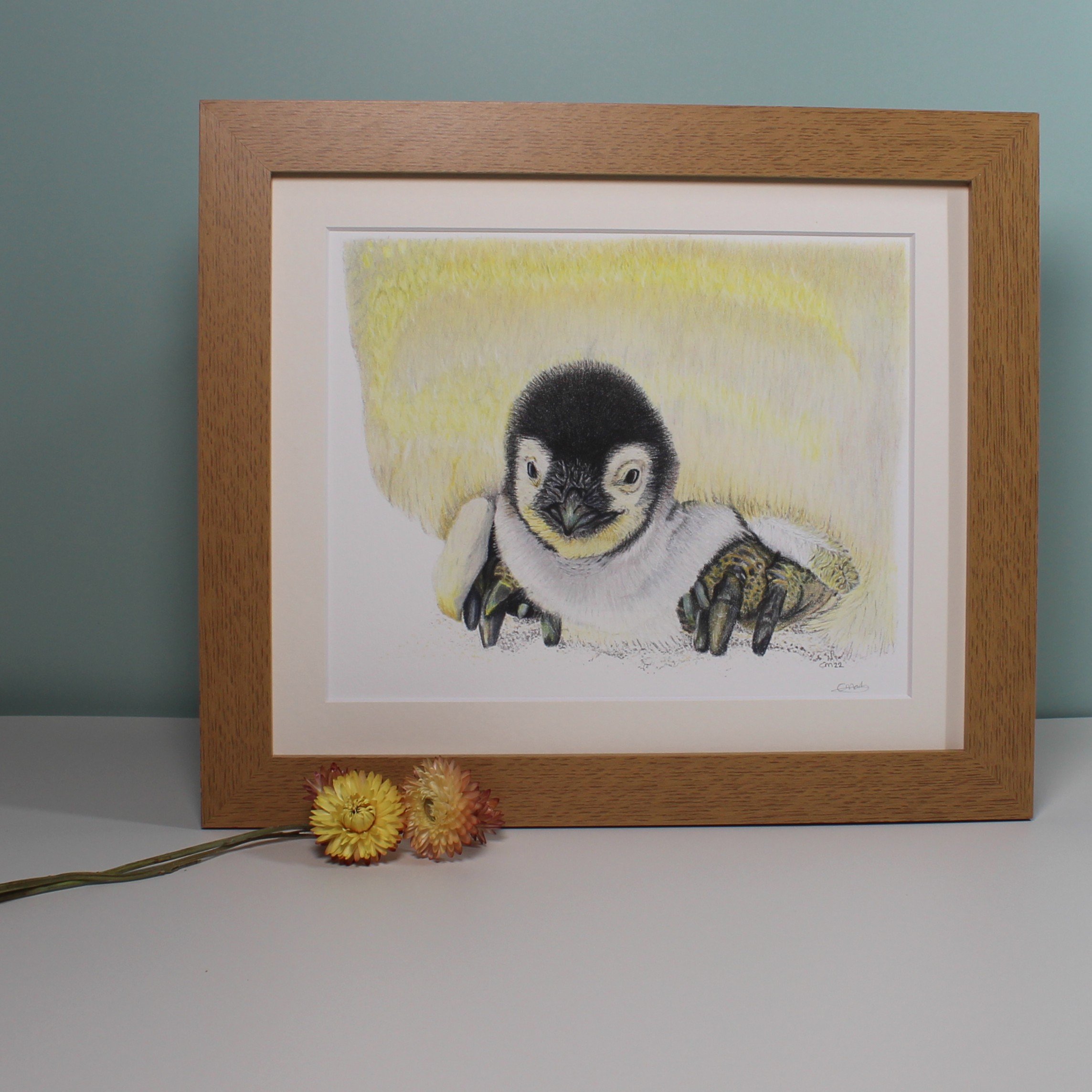 Penguin chick large framed fine art print