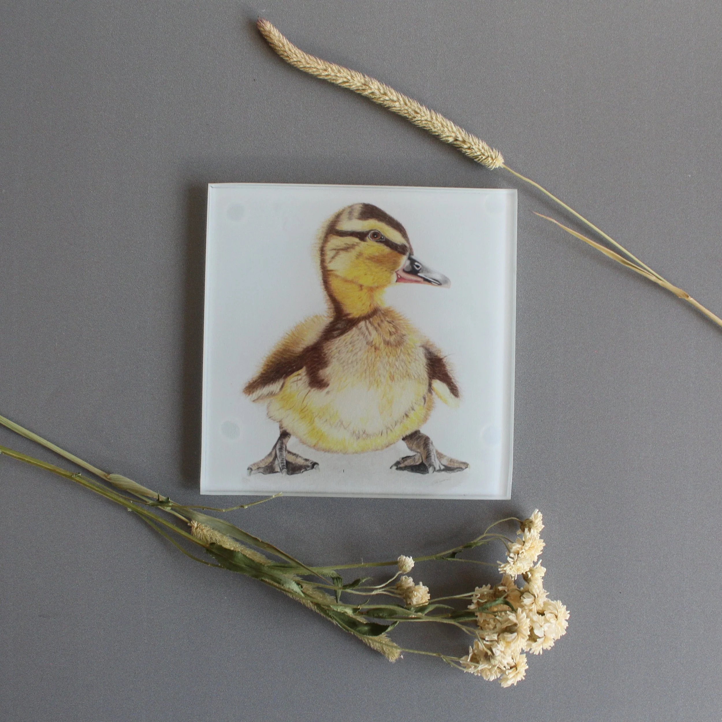 Duckling glass coasters
