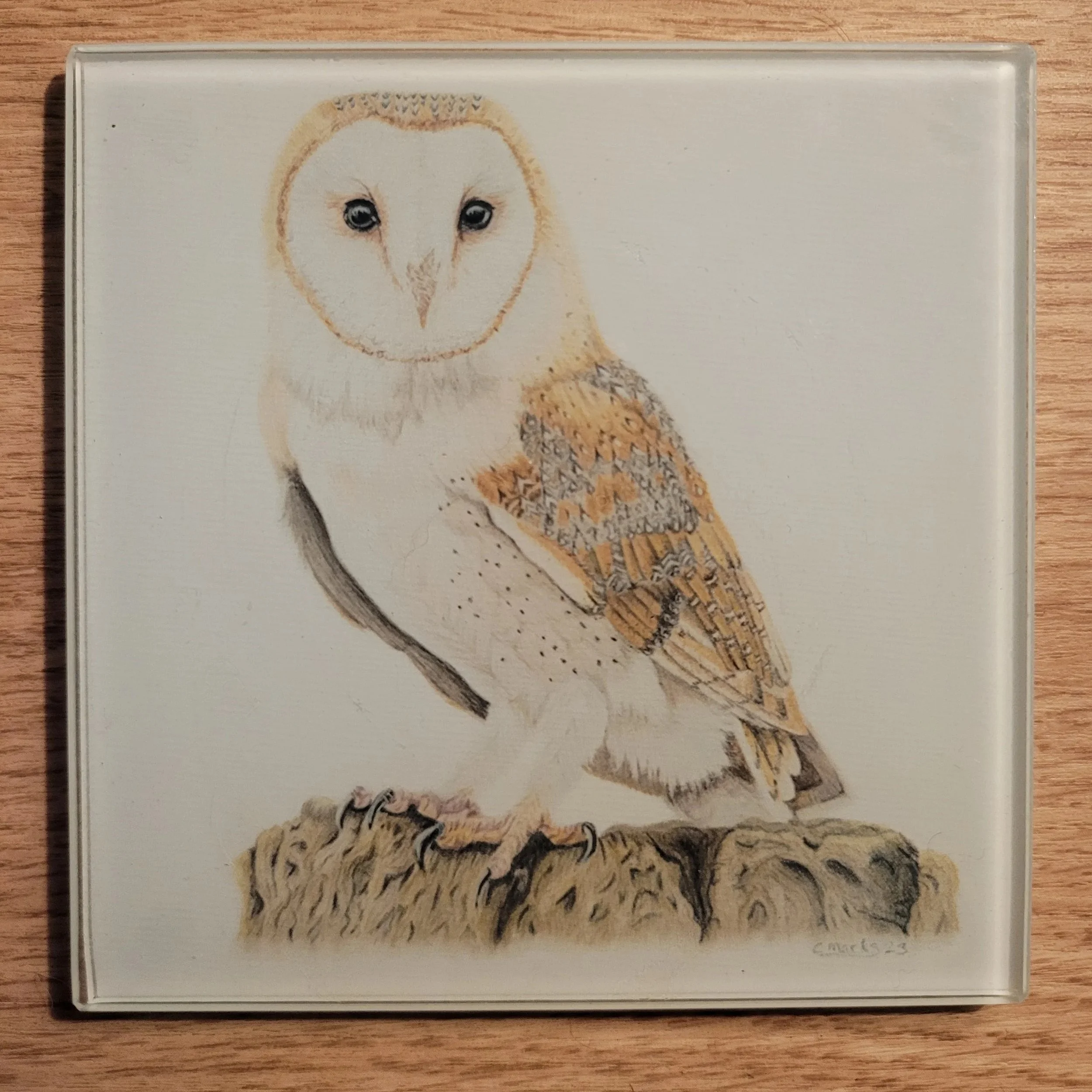 Barn owl glass coaster.