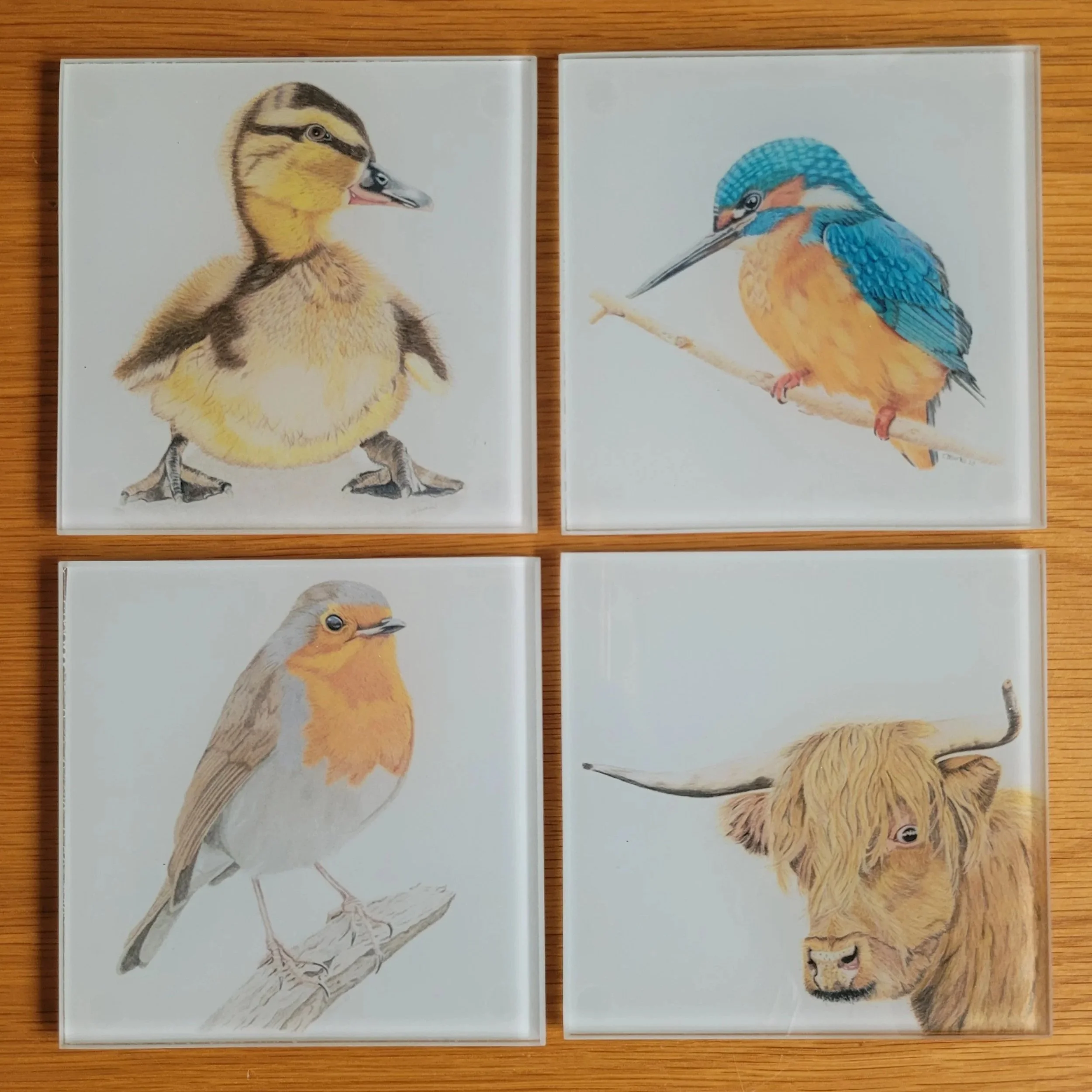 A set of 4 glass coasters featuring a duckling, kingfisher, robin and highland cow.