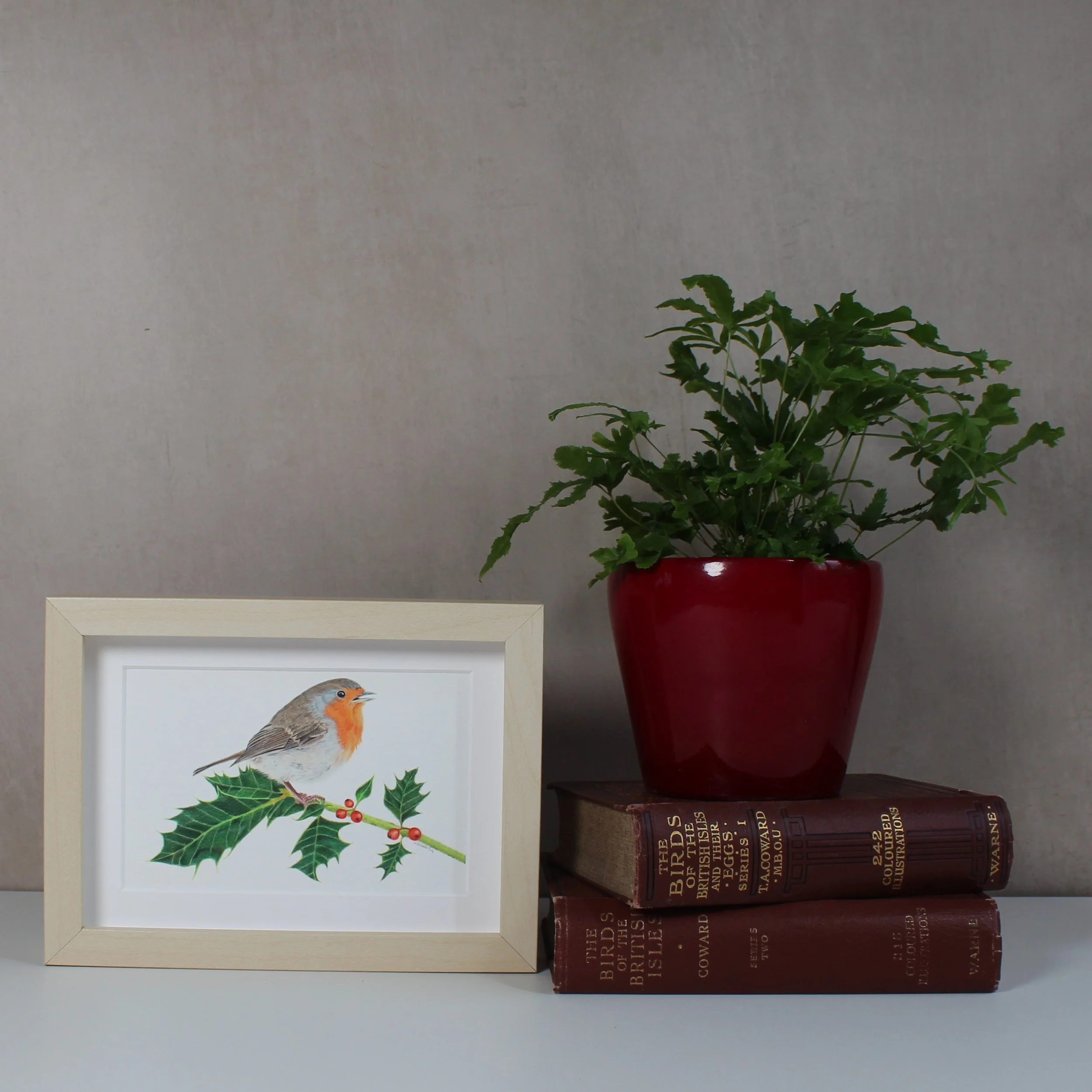 Robin on holly small framed fine art print