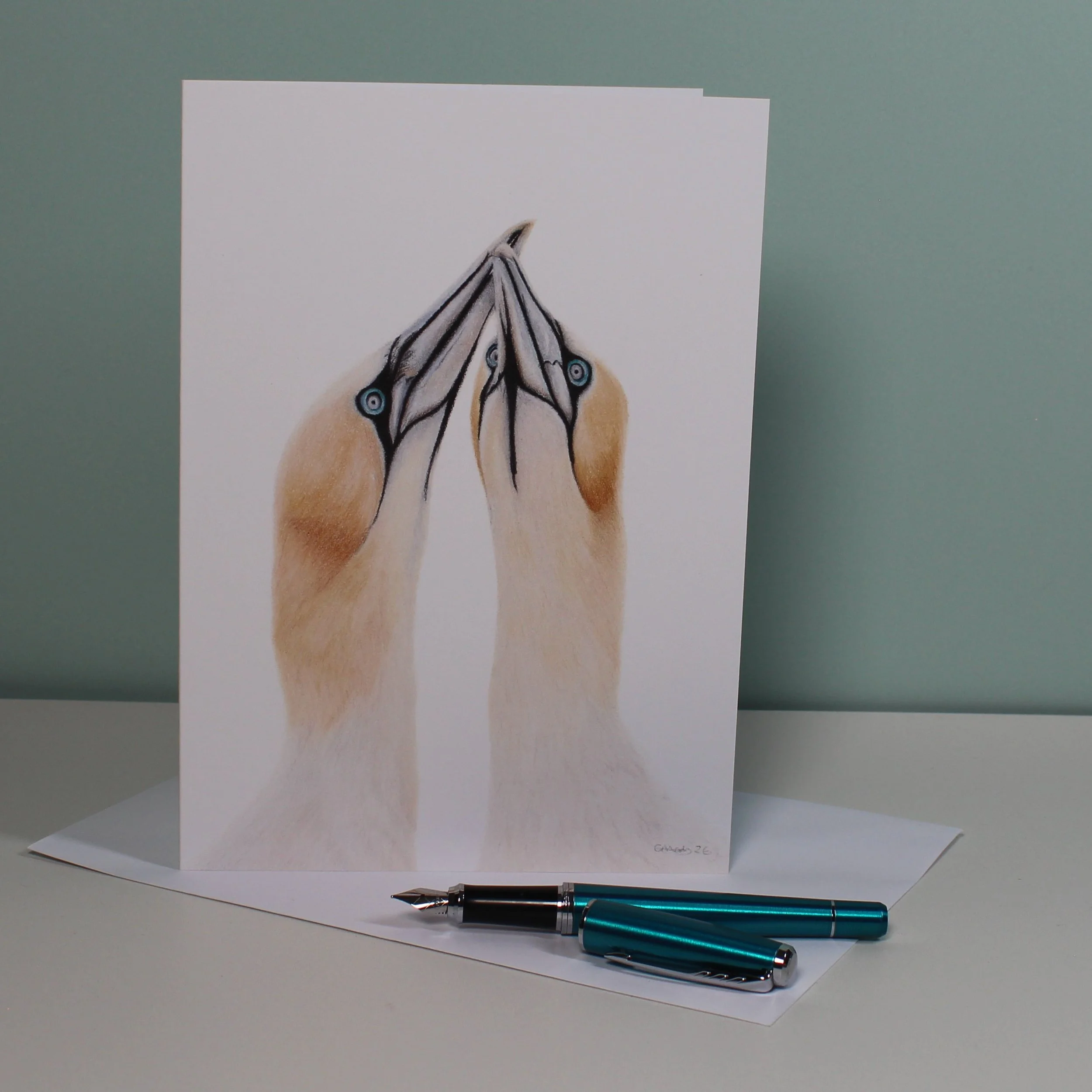 Gannets greetings card (blank inside)