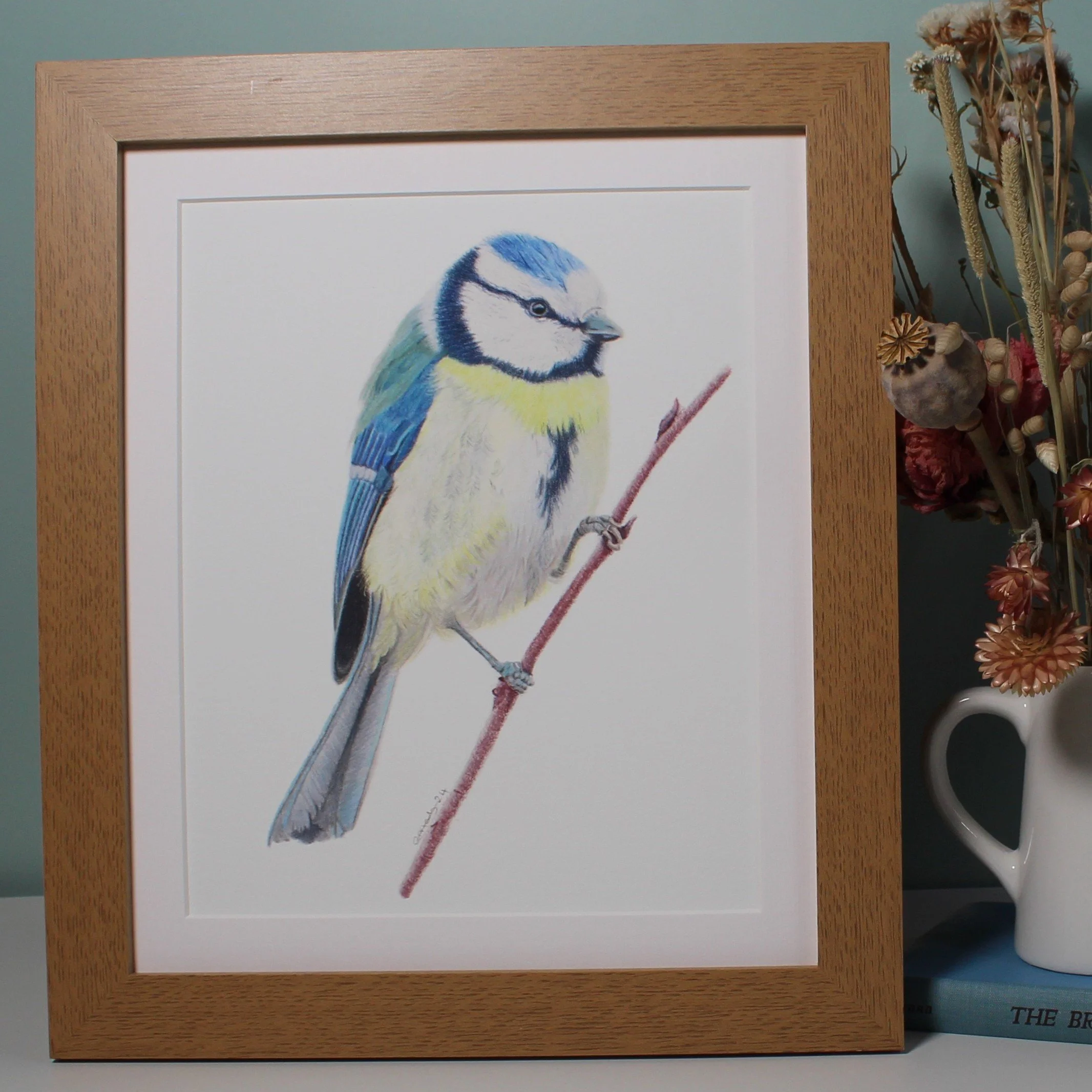 Blue tit large frame fine art print.