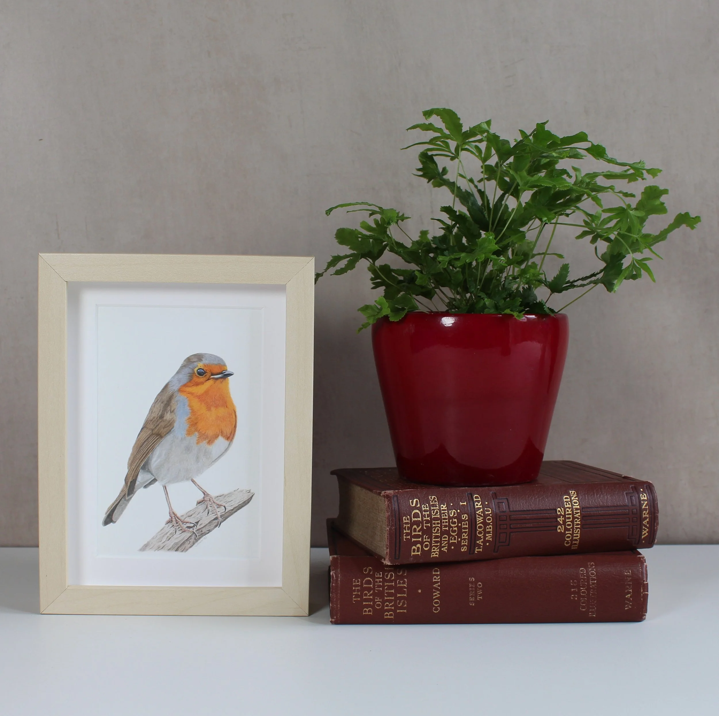 Robin small framed fine art print.