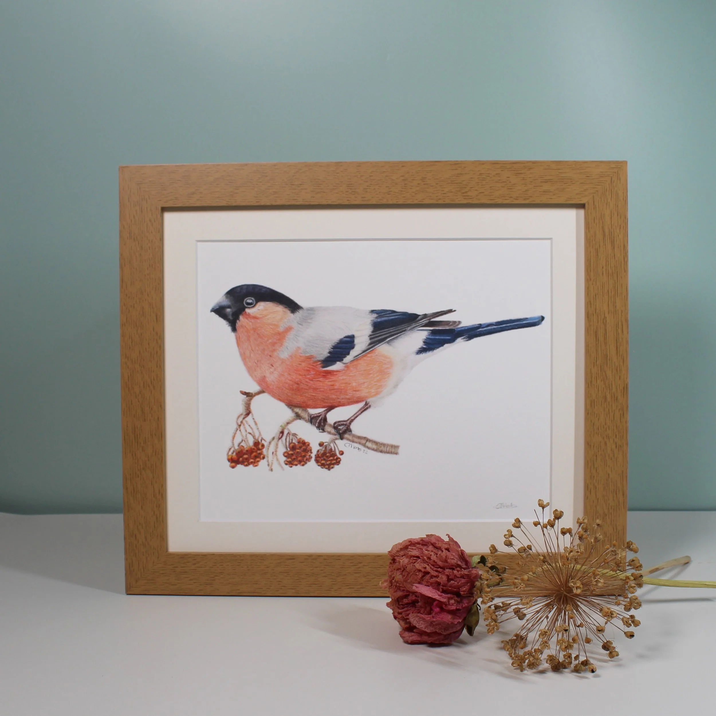 Bullfinch large framed fine art print