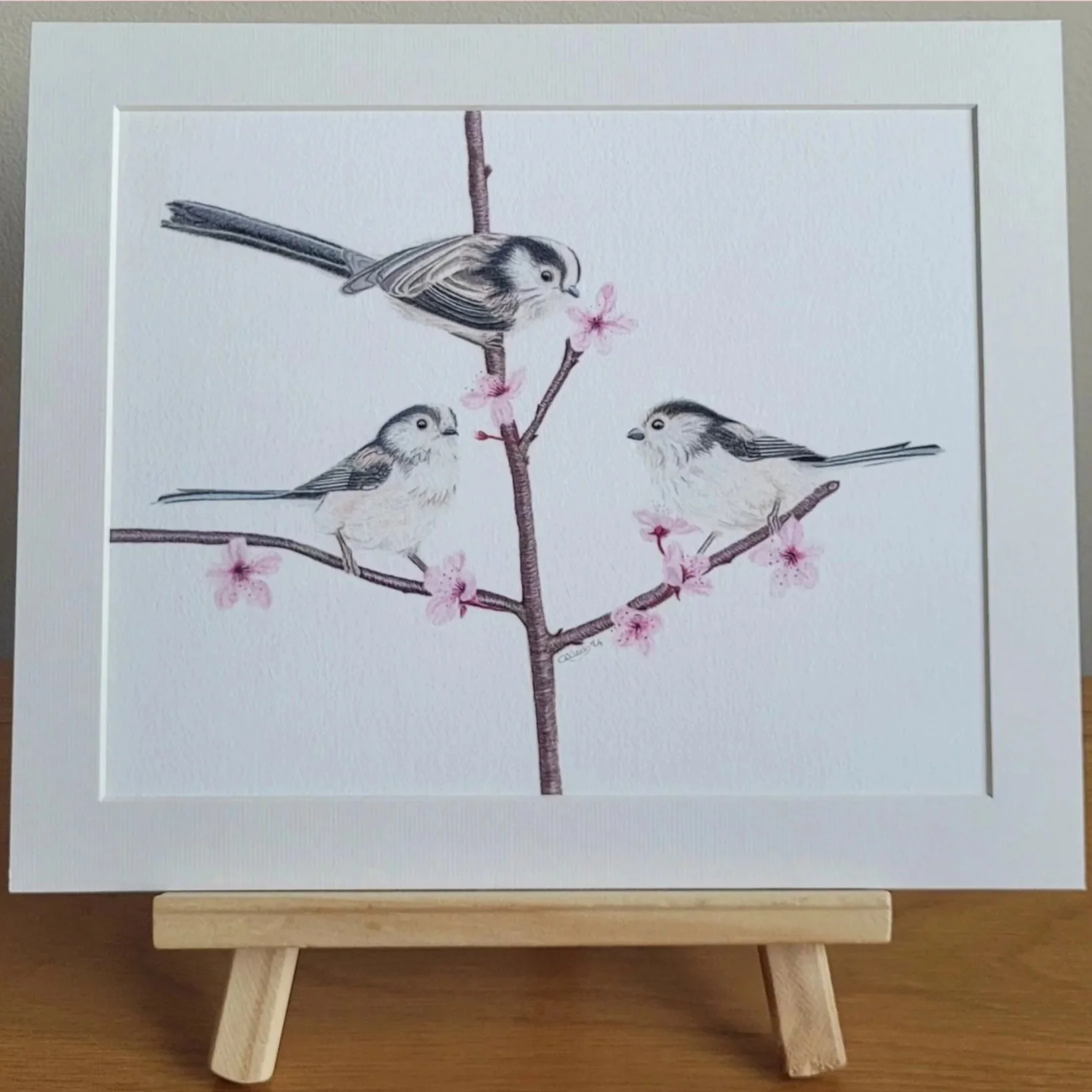 A close up photo of a flock of long tailed tits mounted print.