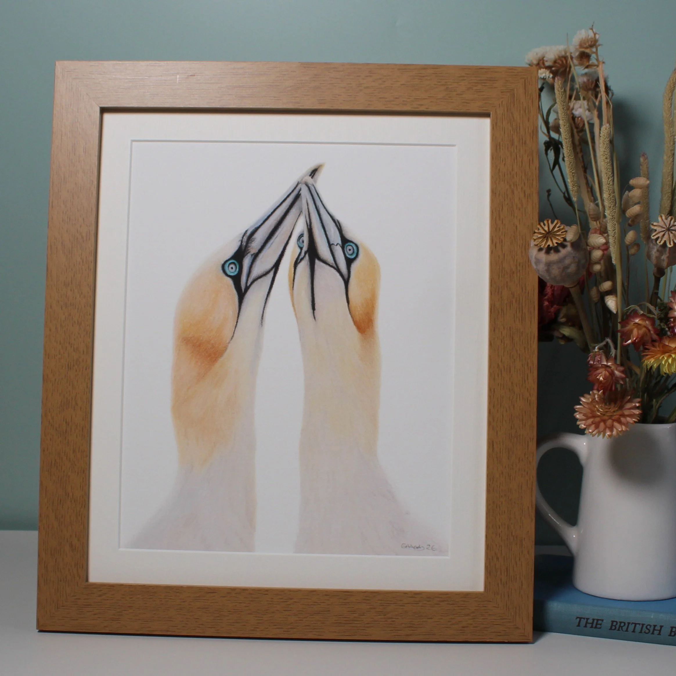 Gannets large frame fine art print.