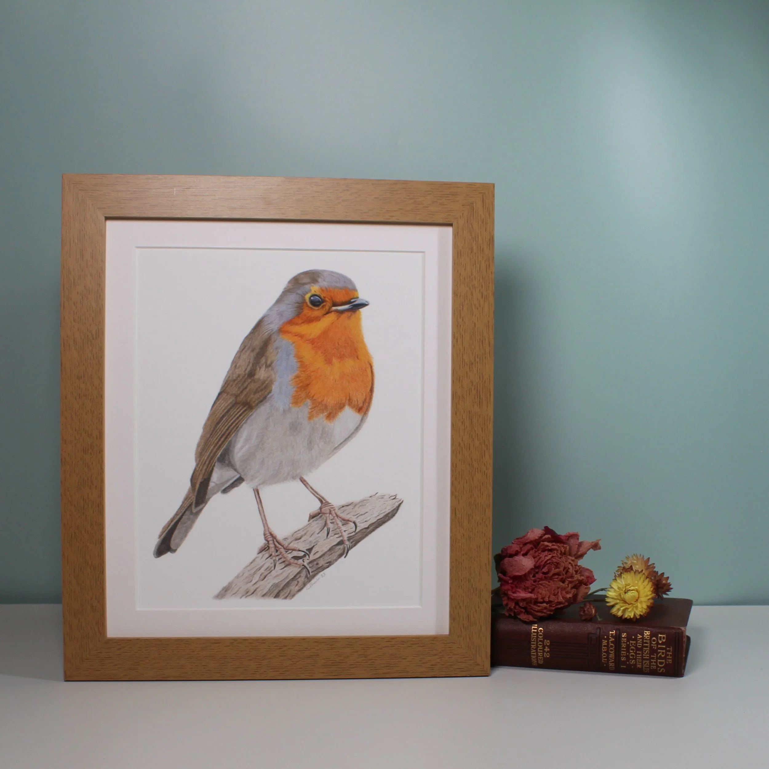 Robin large framed fine art print