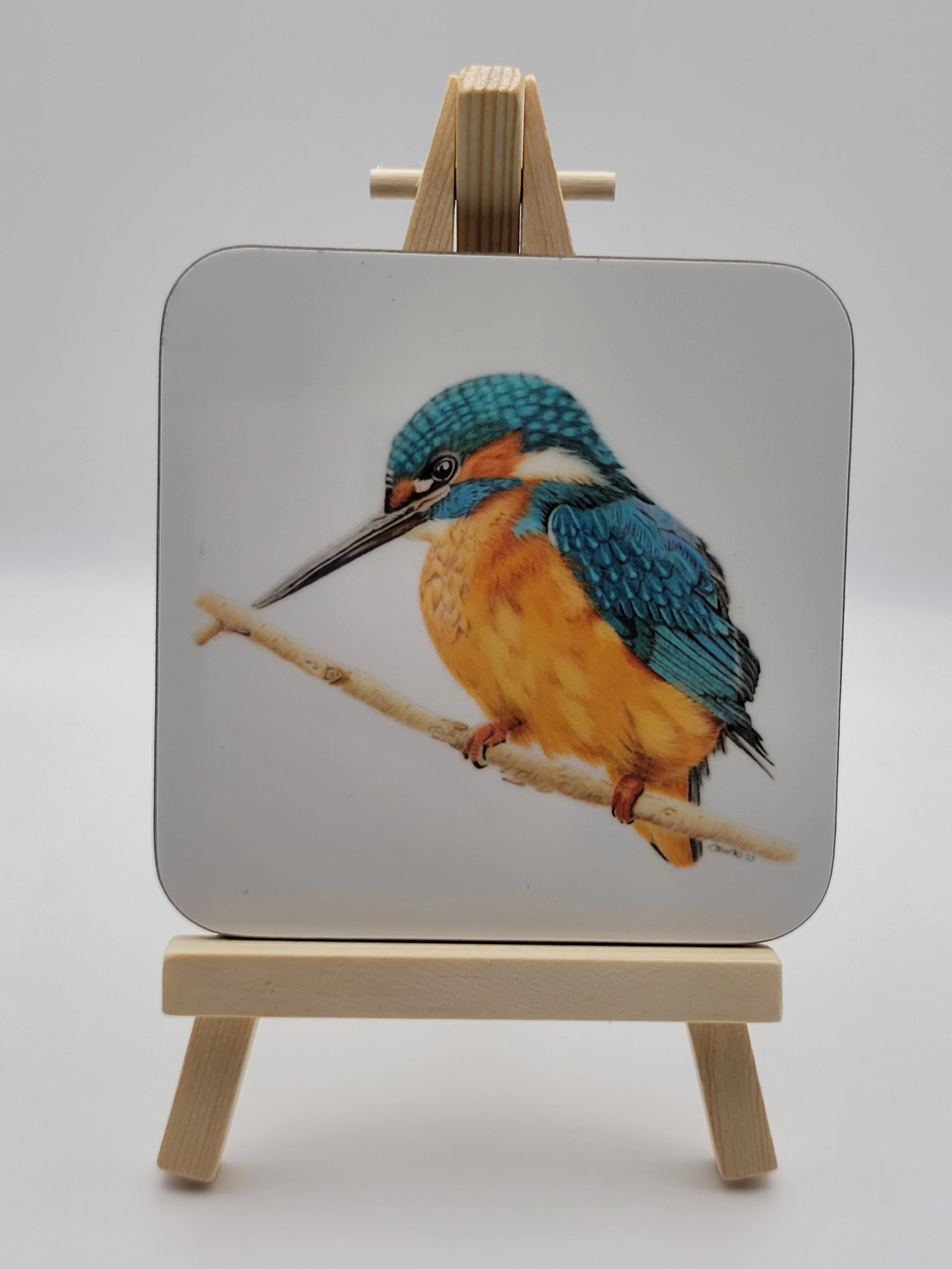 Individual glossy kingfisher coaster