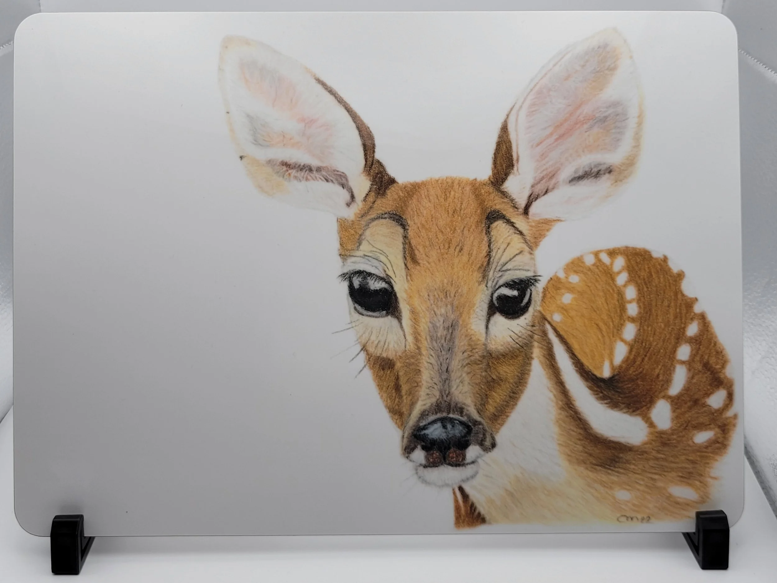 Individual deer placemats.