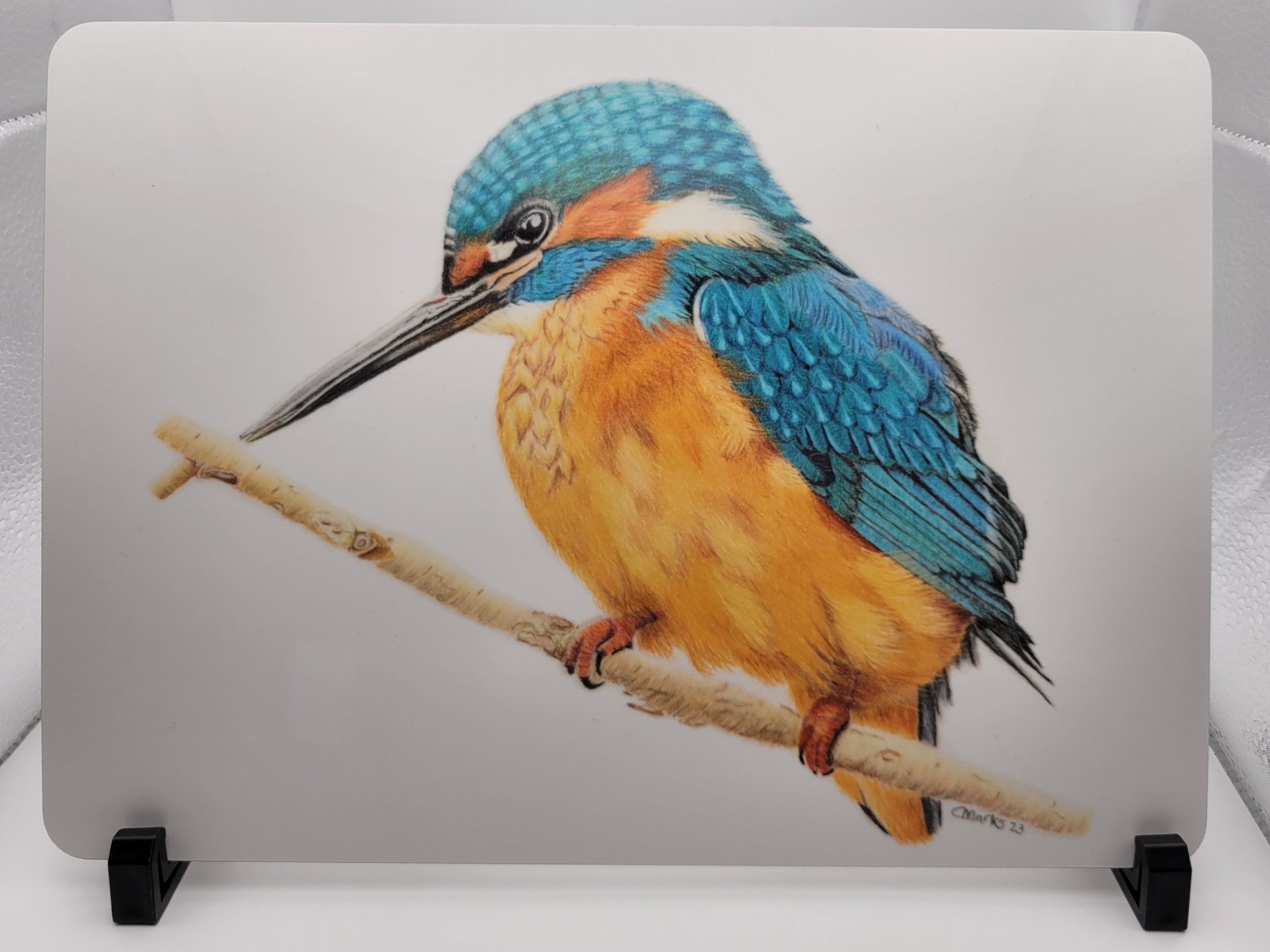 Kingfisher placemat.
