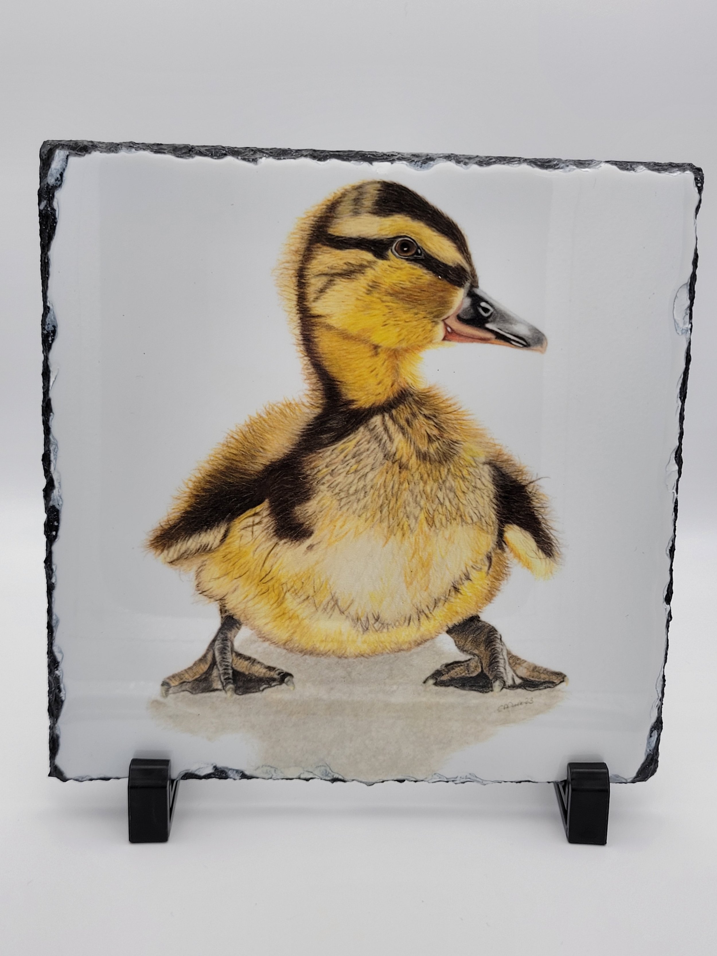 Decorative picture slates: duckling.