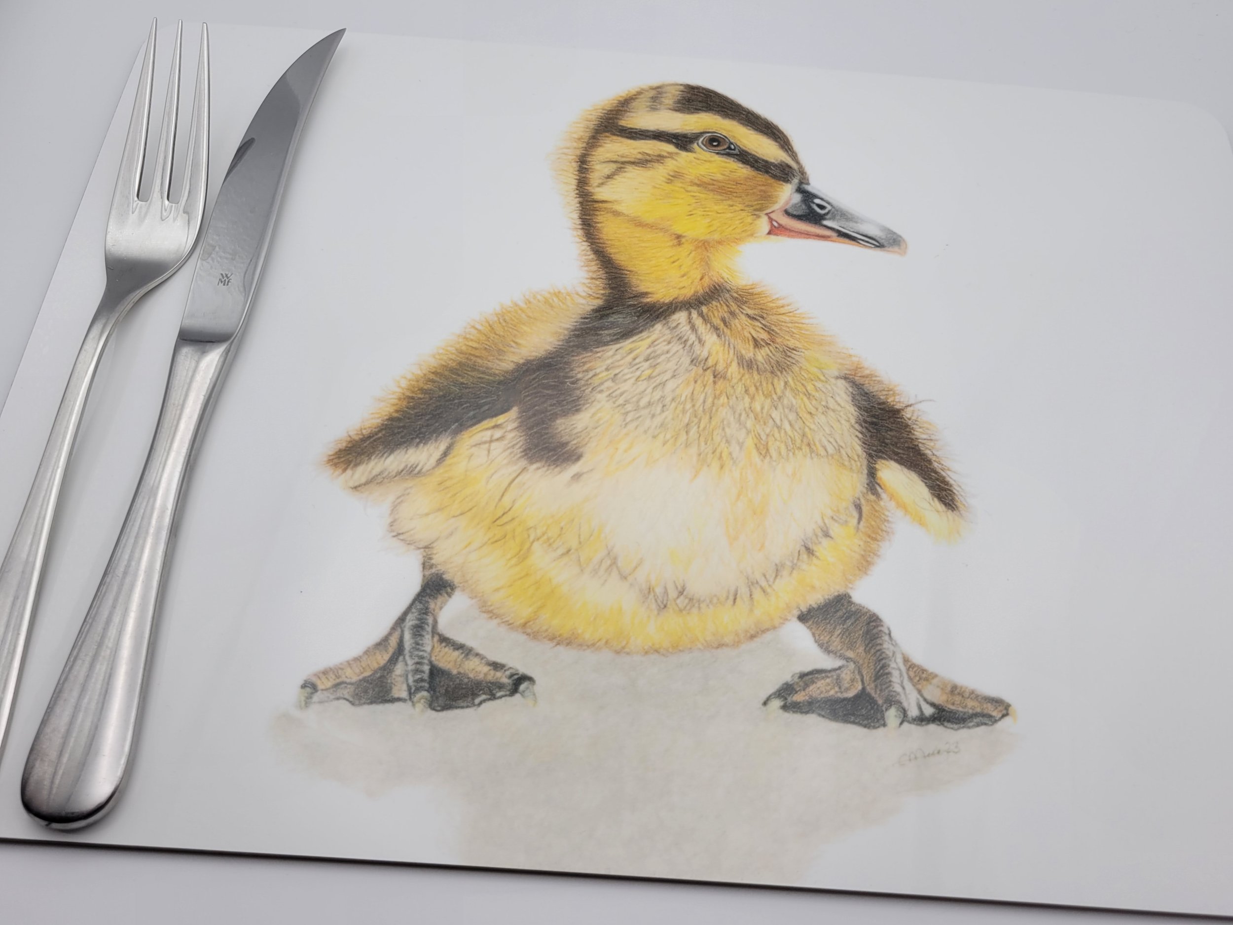 Individual placemats. Choose from six vibrant designs featuring a kingfisher, bullfinch, highland cow, penguin chick, deer or duckling.