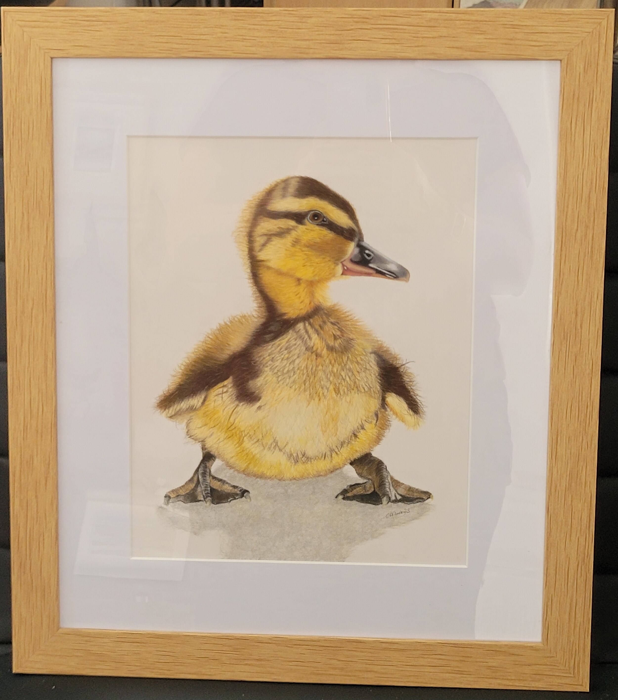 Framed_duckling.jpg