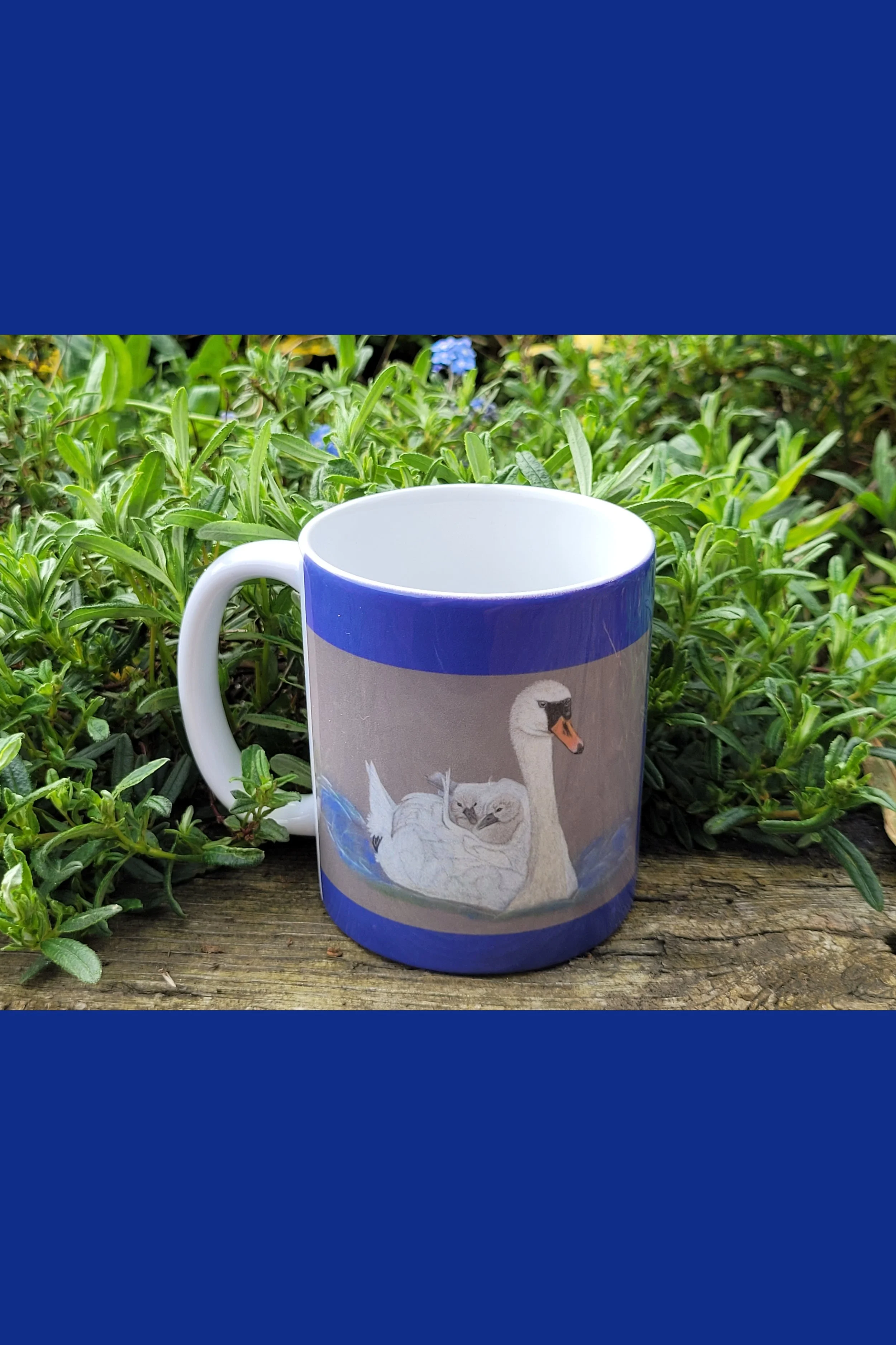 Mute swan mug.