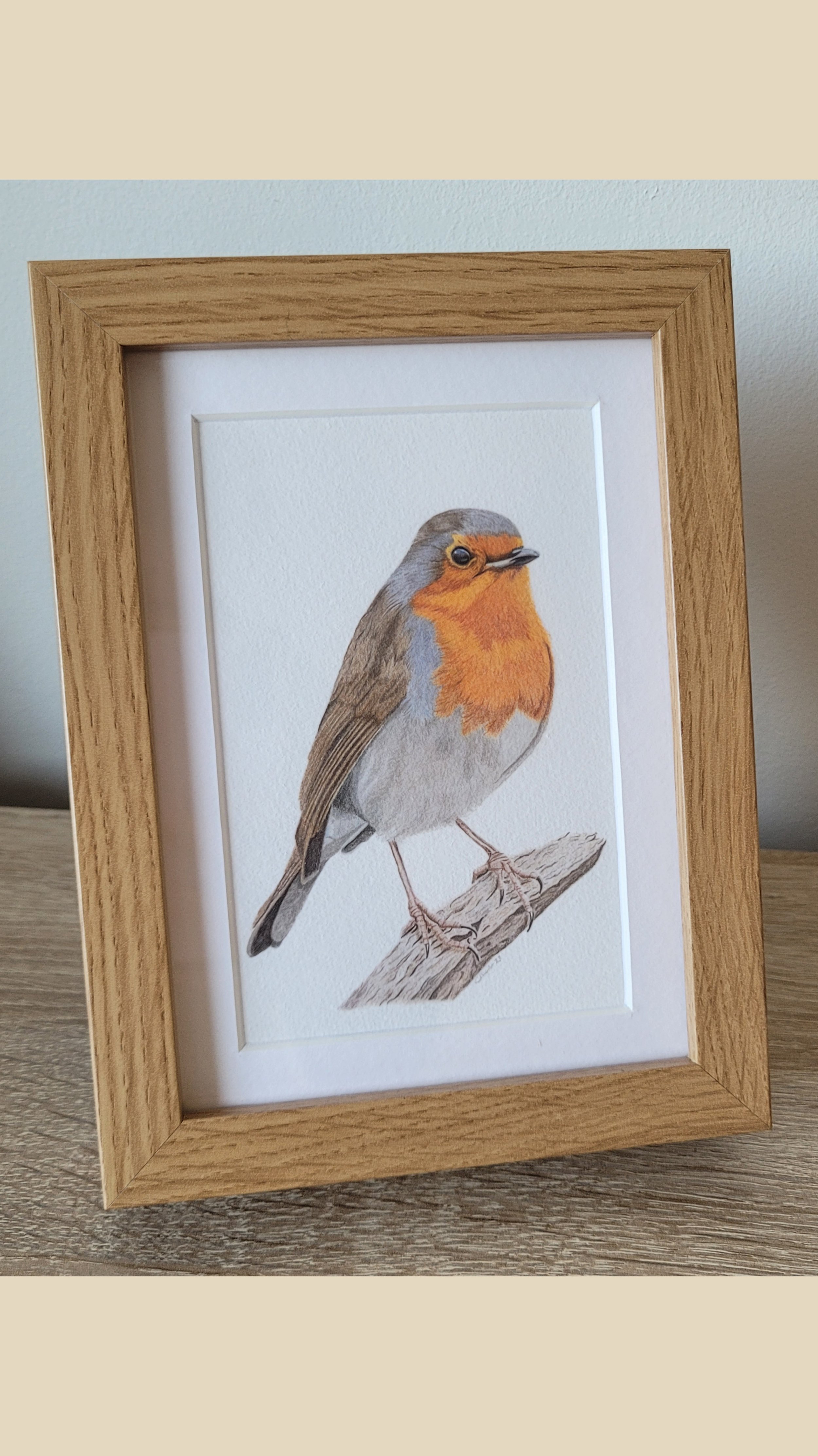 Small framed fine art print of a robin.
