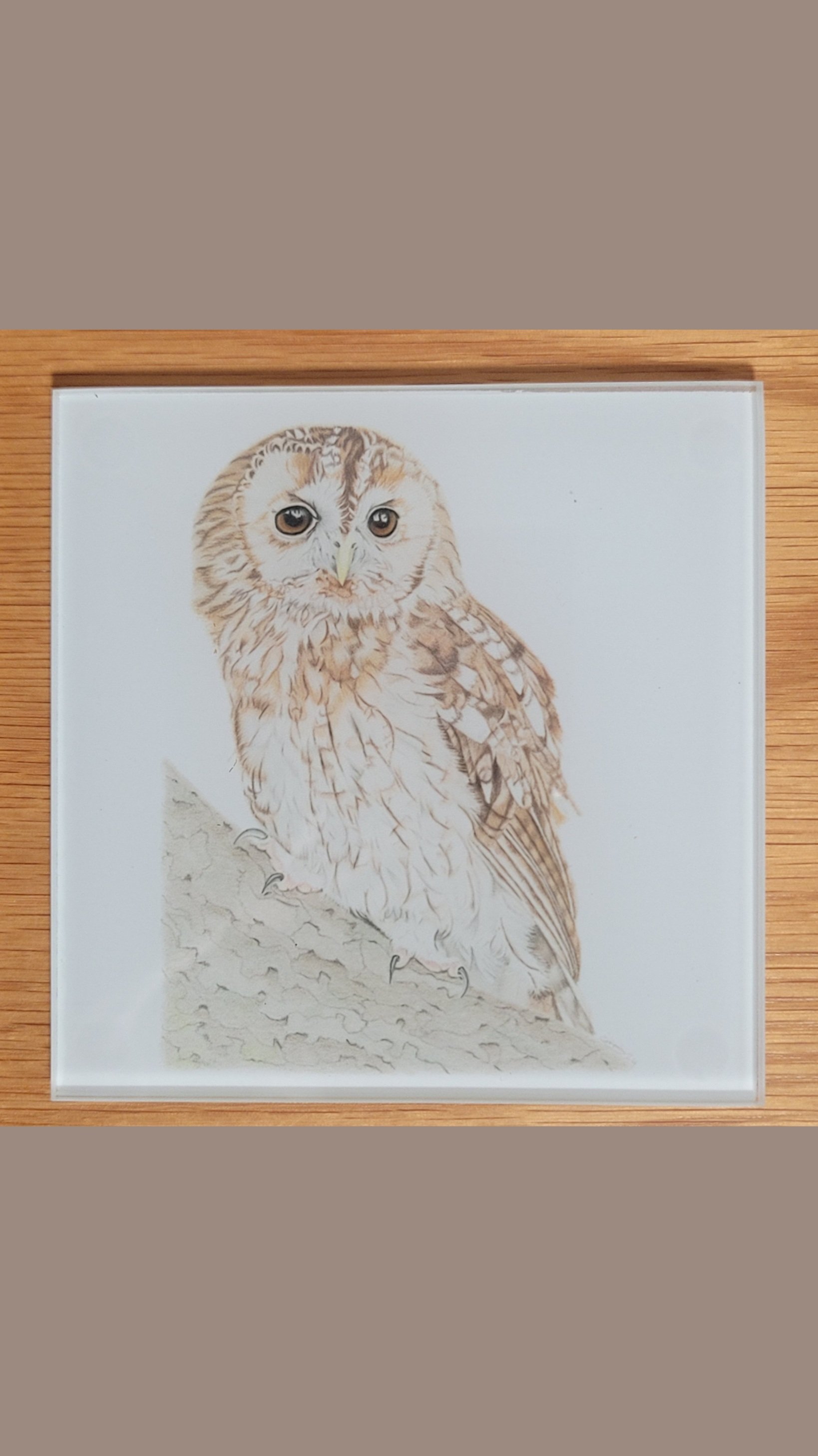 Tawny owl glass coaster.
