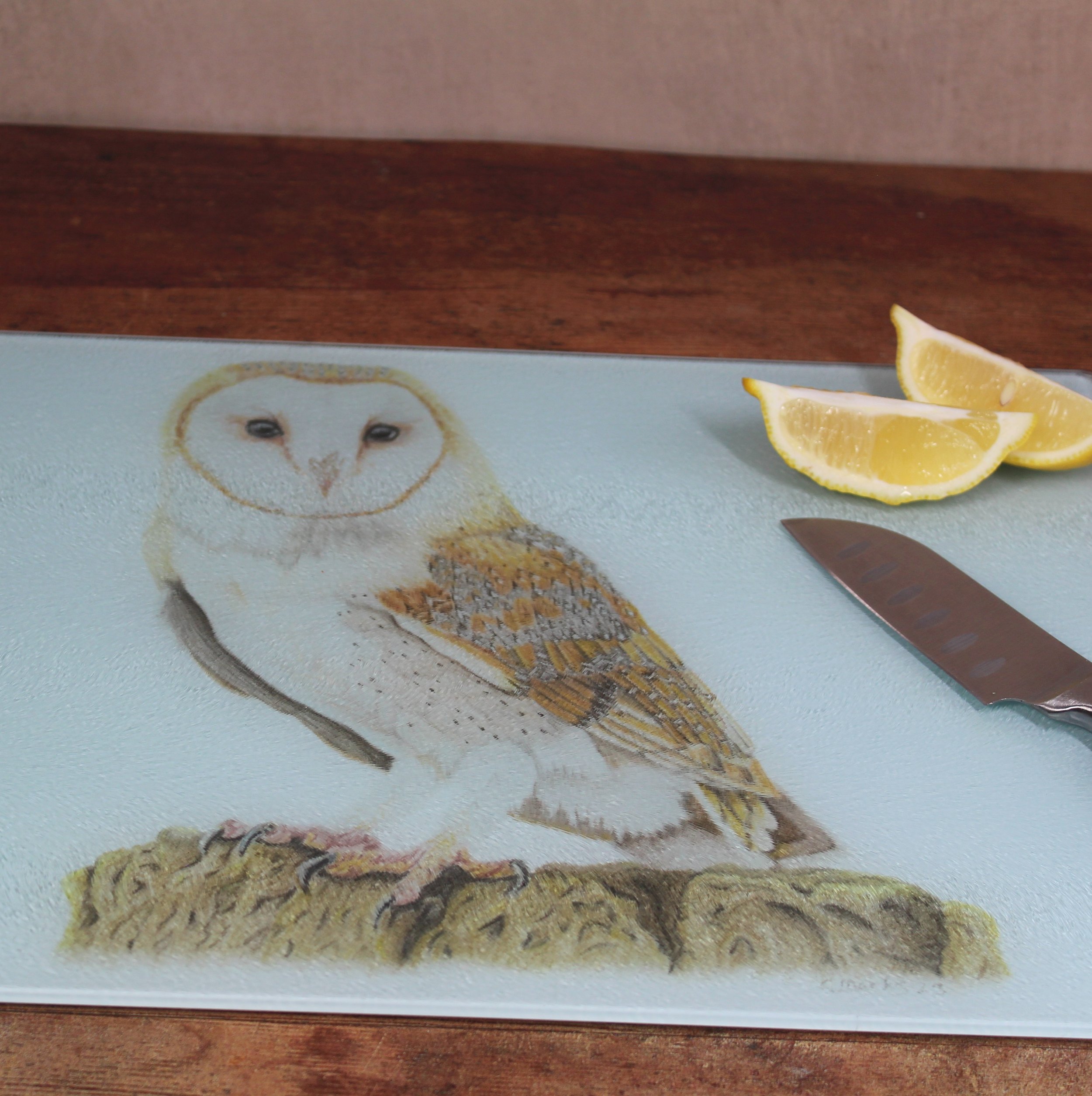 Close up photo of a barn owl drawing on a large glass chopping board / worktop saver.