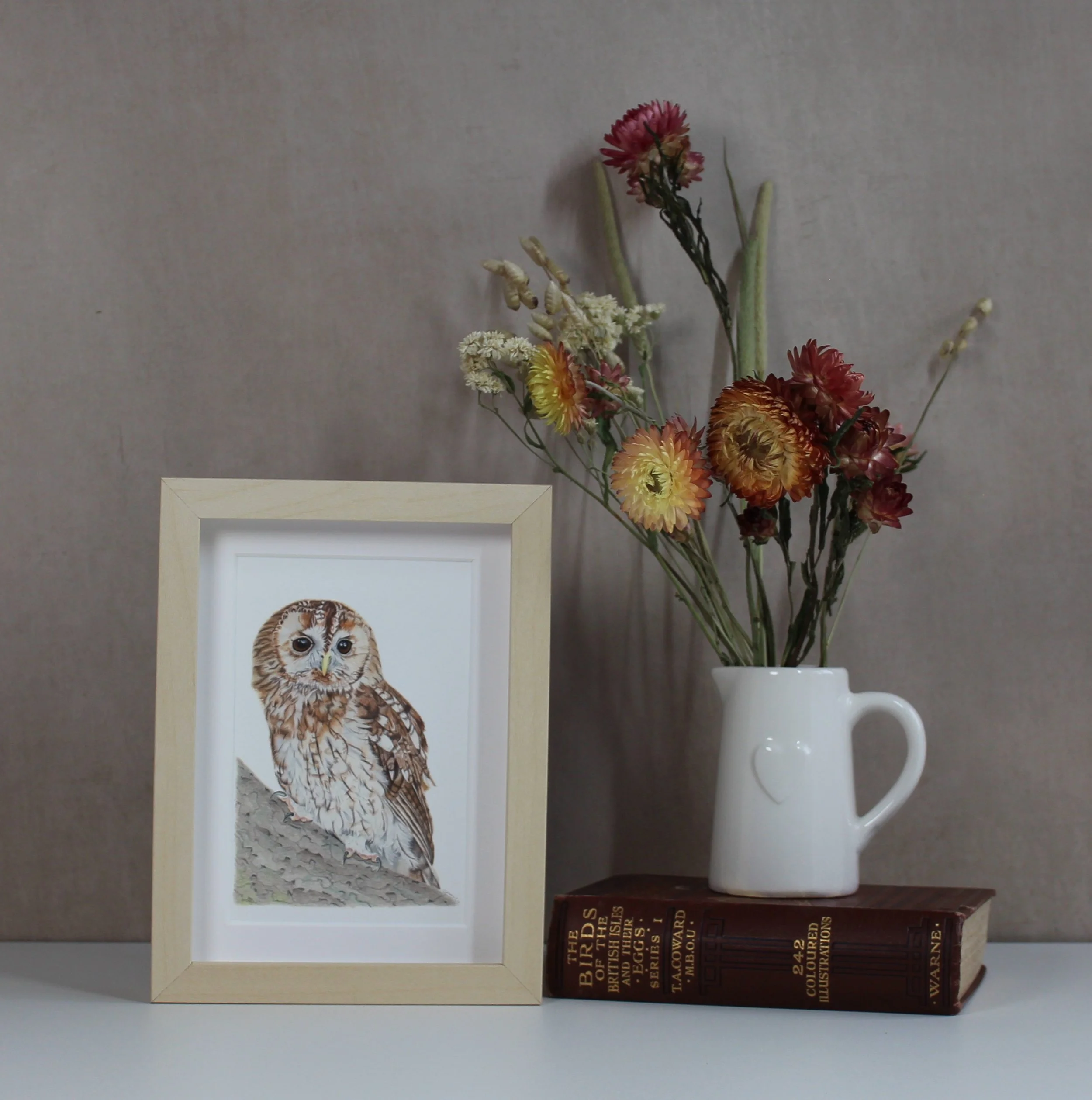 Tawny owl small framed fine art print