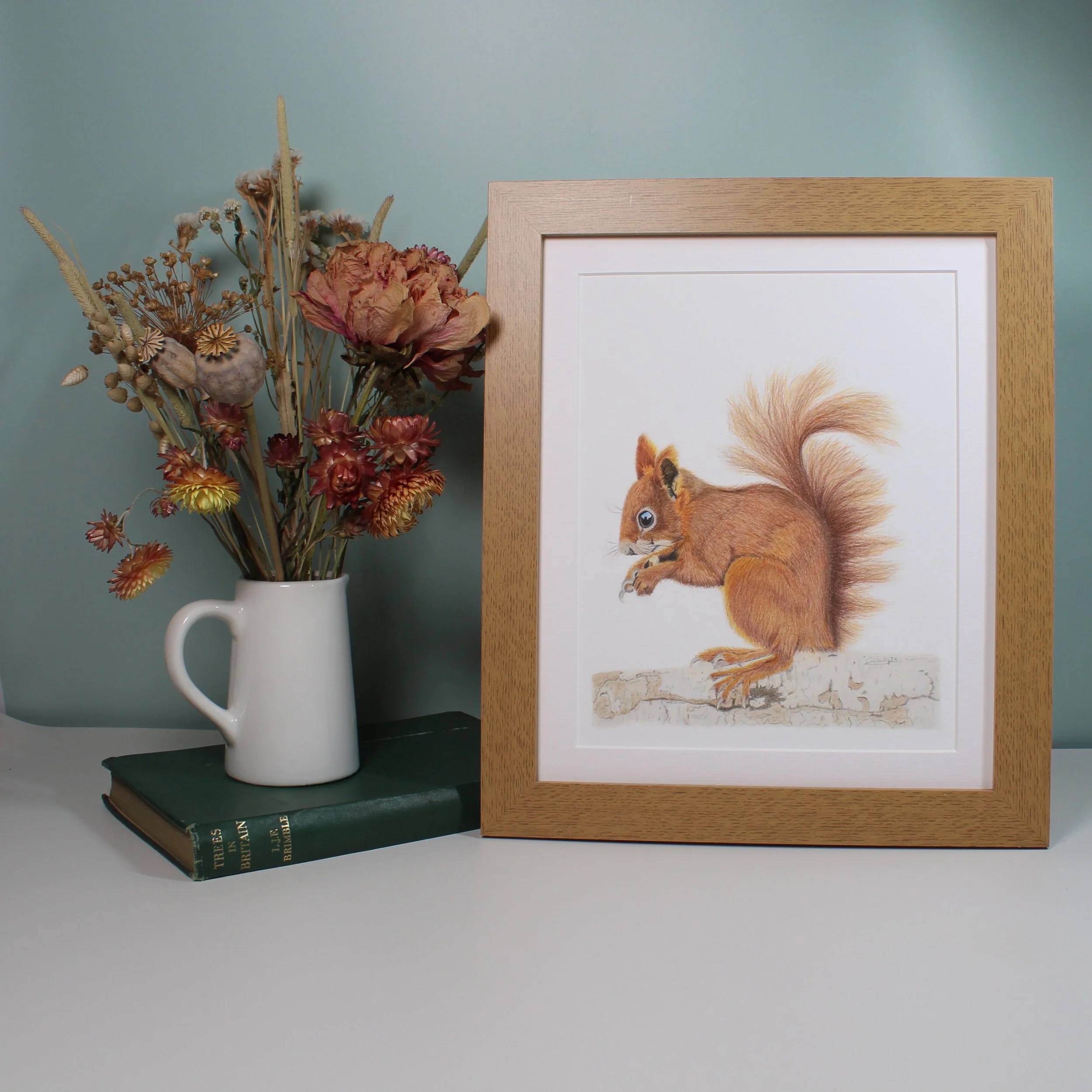 Red squirrel large framed fine art print.