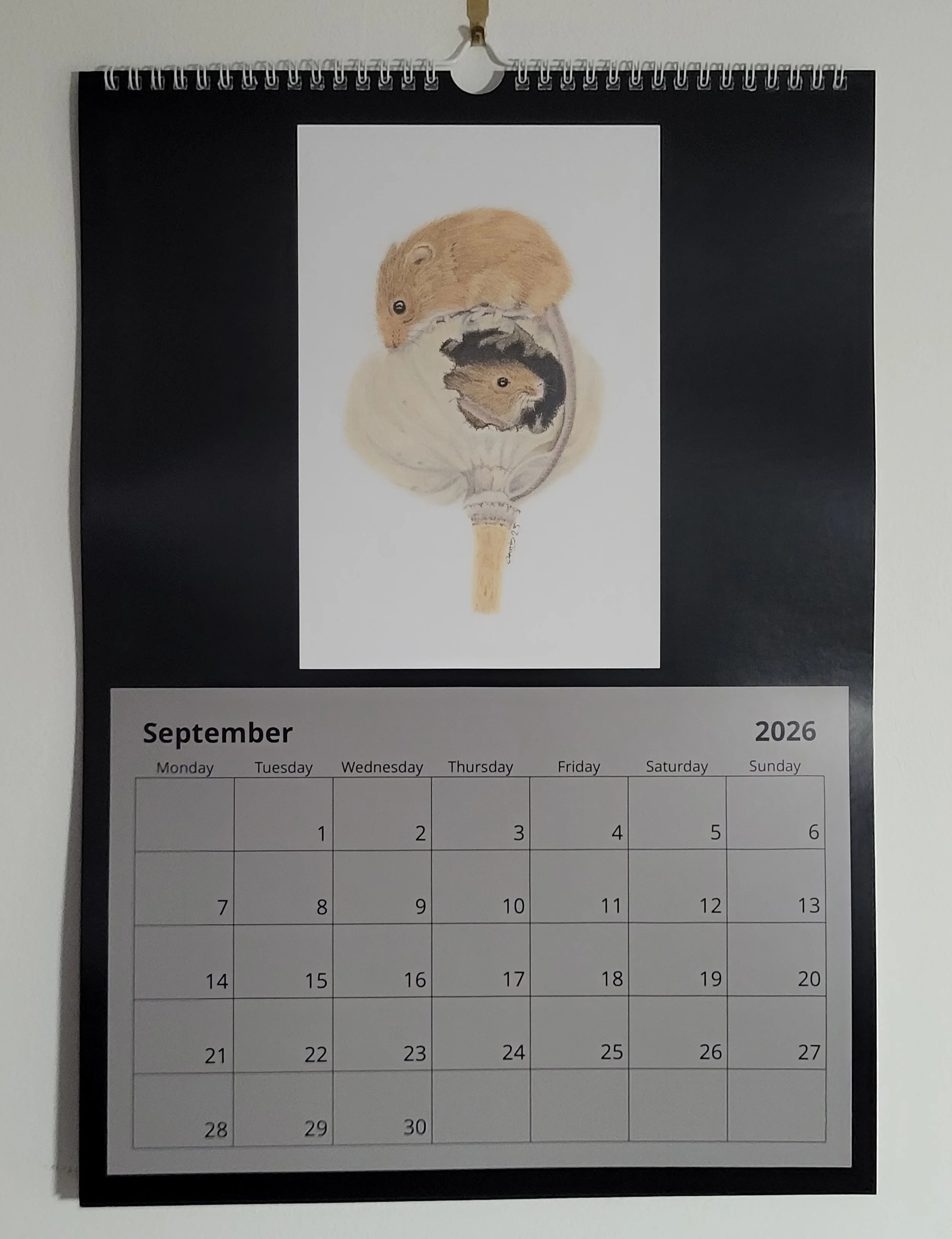 2026 British wildlife A3 wall calendar. A pair of harvest mice feature for September.