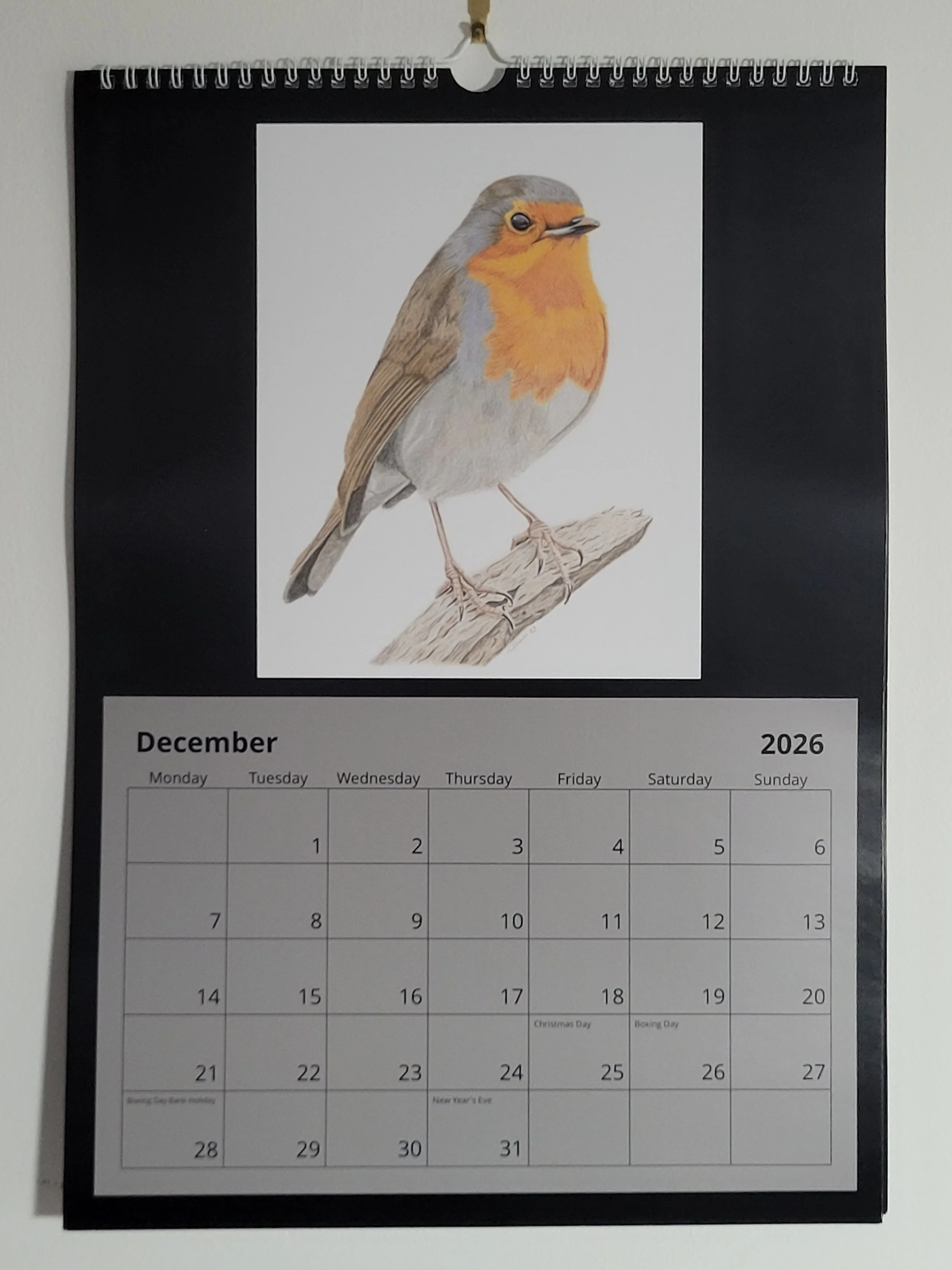 2026 British wildlife A3 wall calendar. A robin features for December.