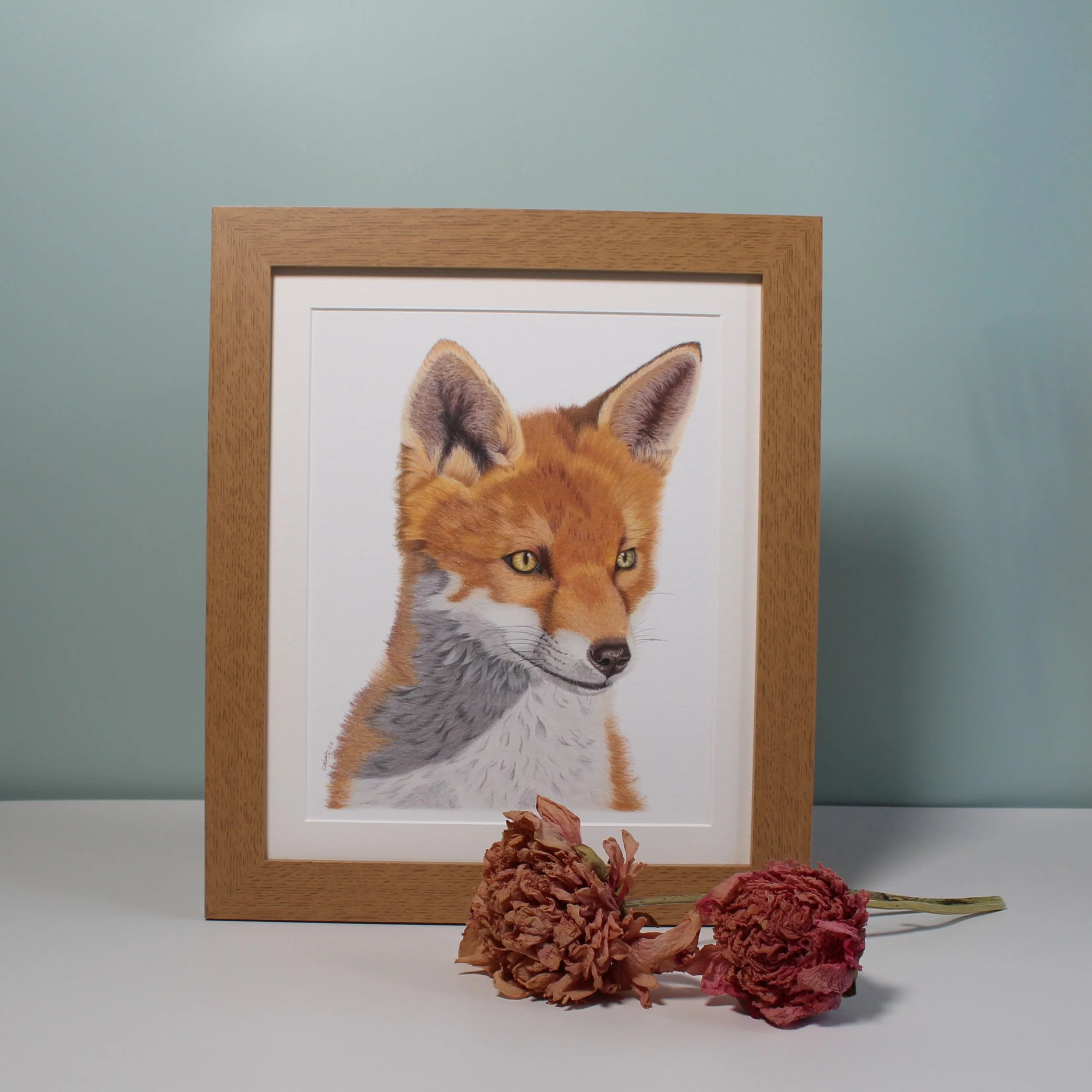 Gazing fox large framed fine art print