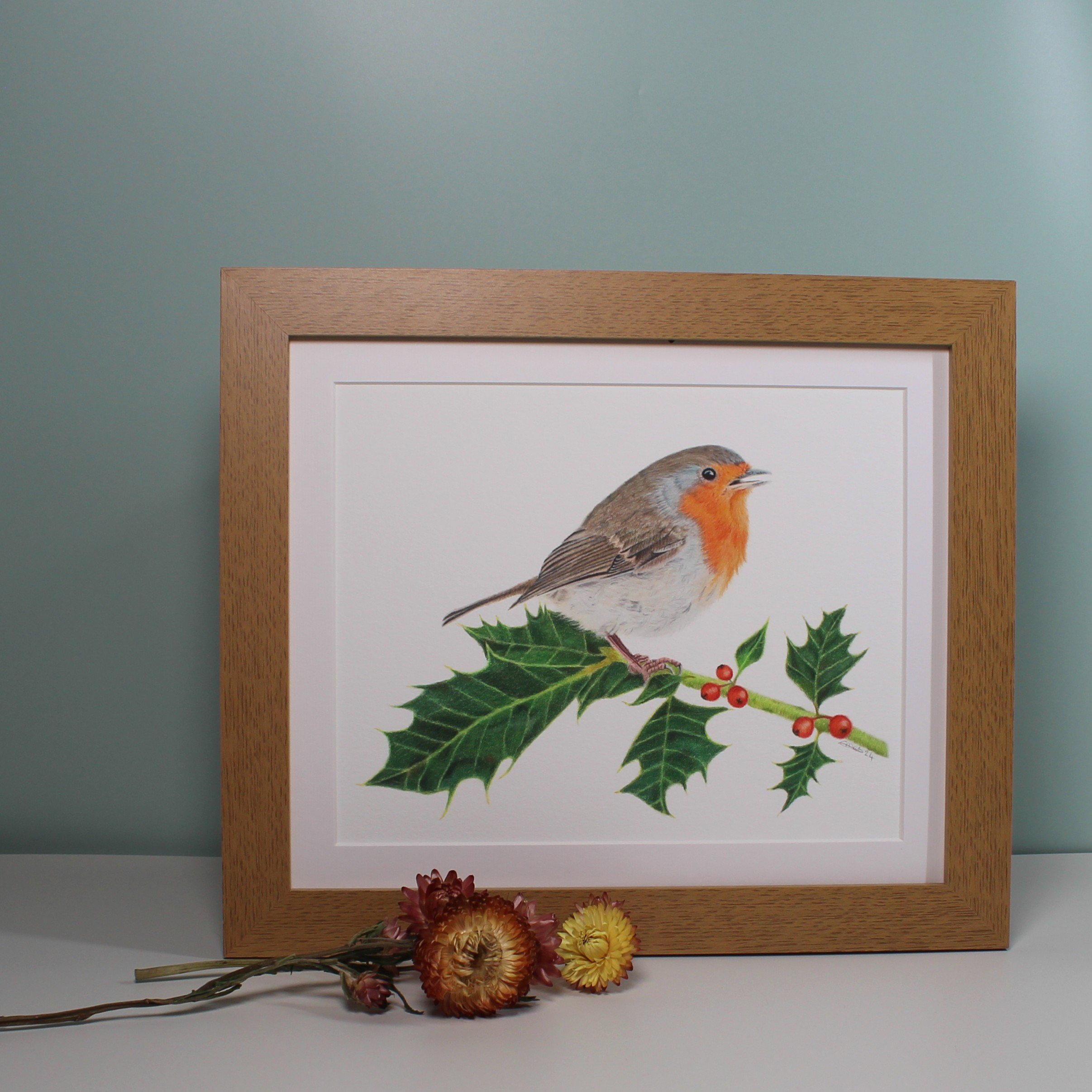 Robin on holly large framed fine art print