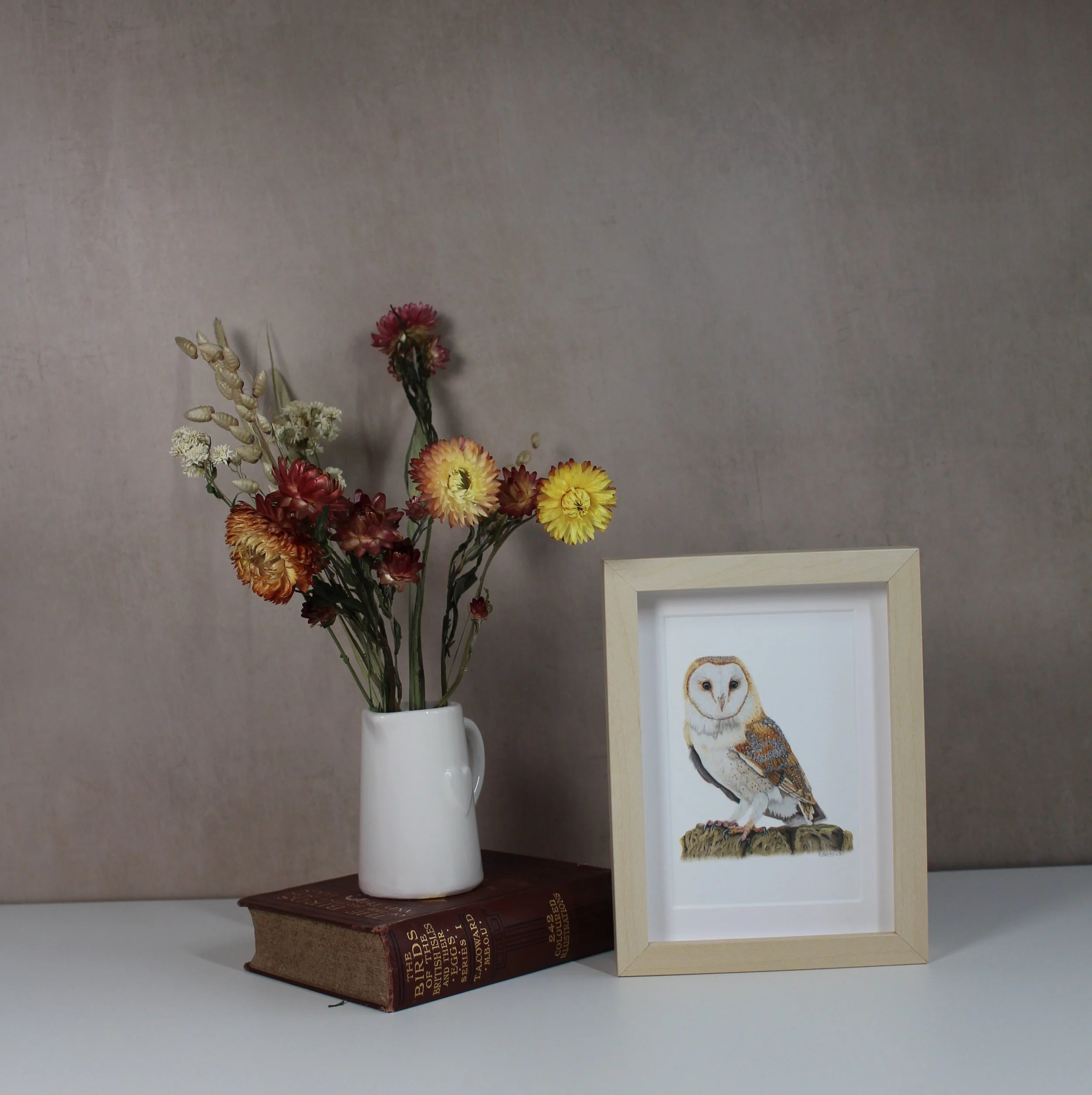 Barn owl small framed fine art print.